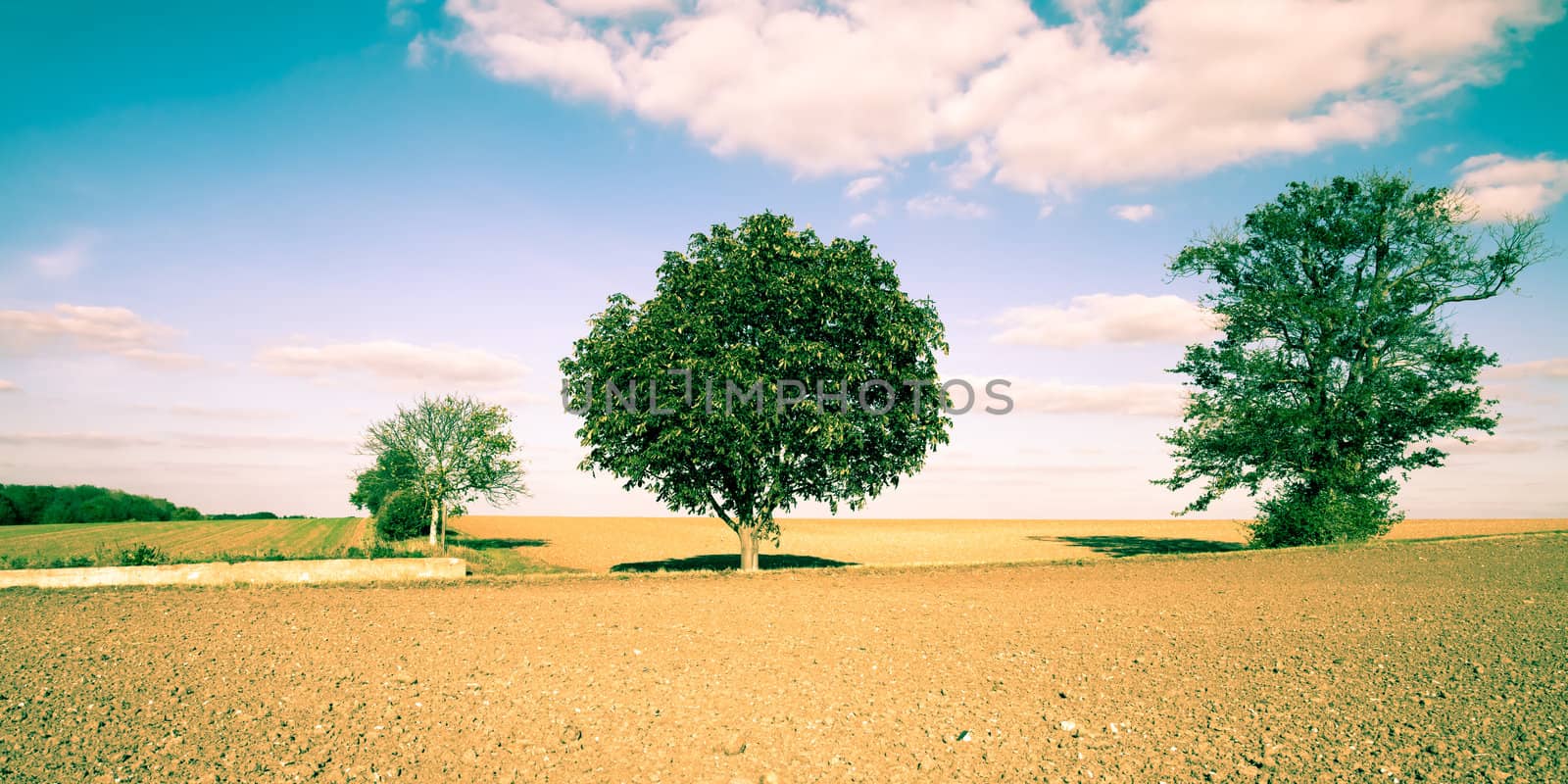 A beautiful rural scene of English farmland showing freshly tilled soil