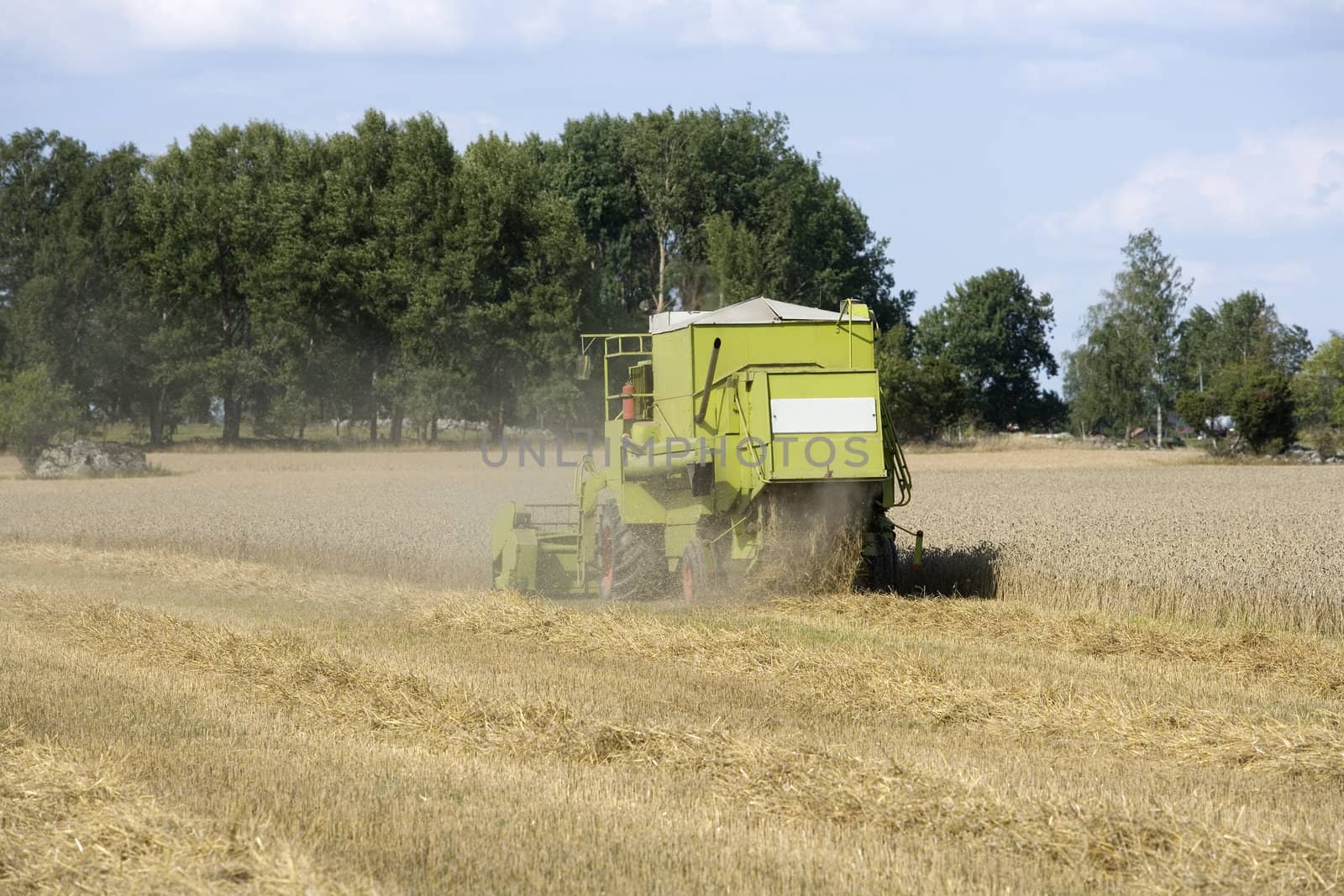 Harvesting the fields at the farm