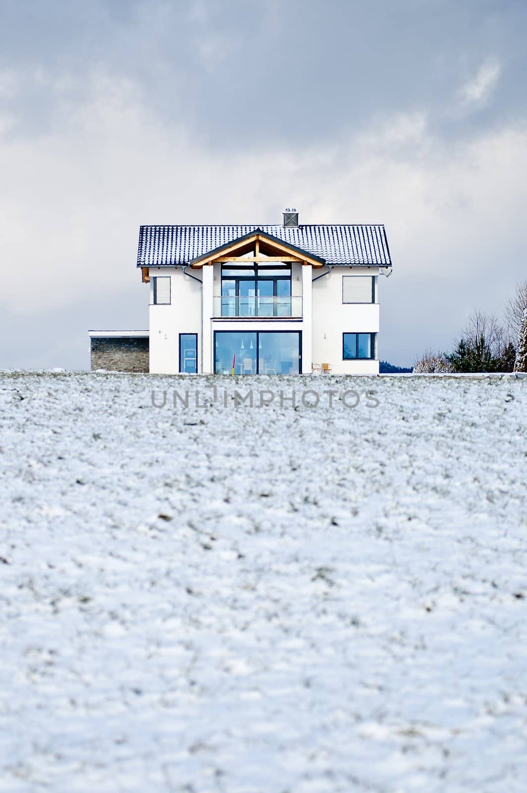 New family house in a winter meadow