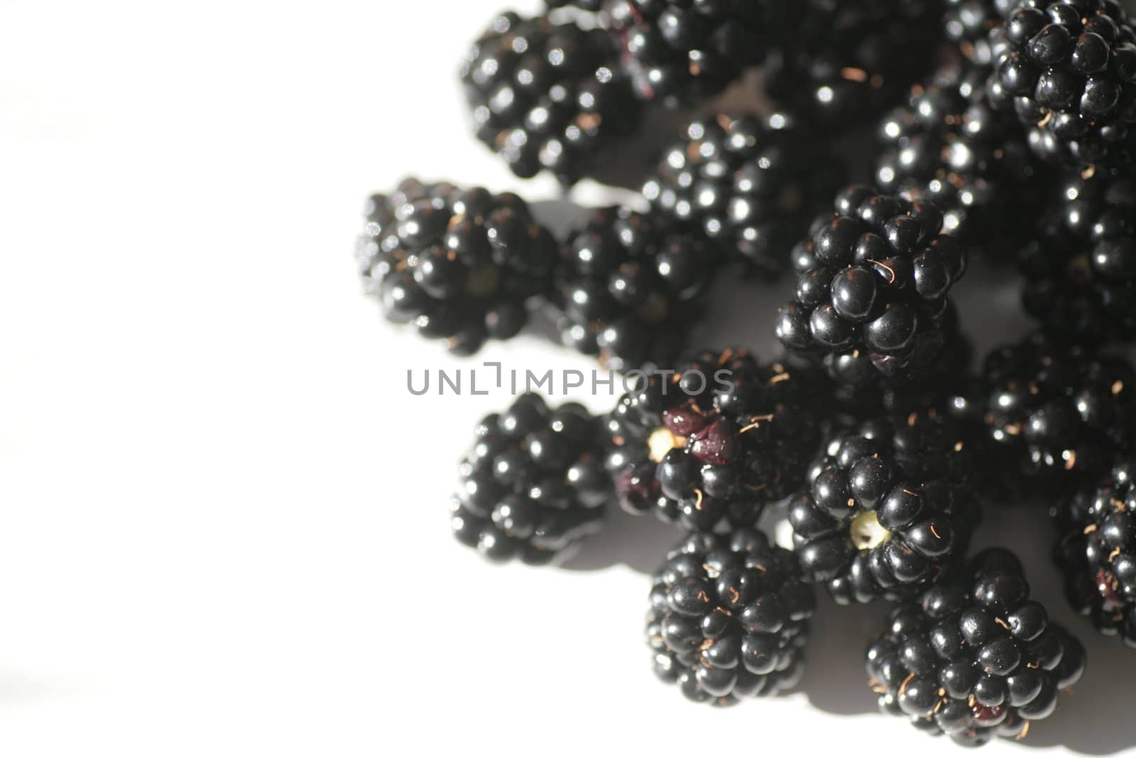 Blackberries by yucas