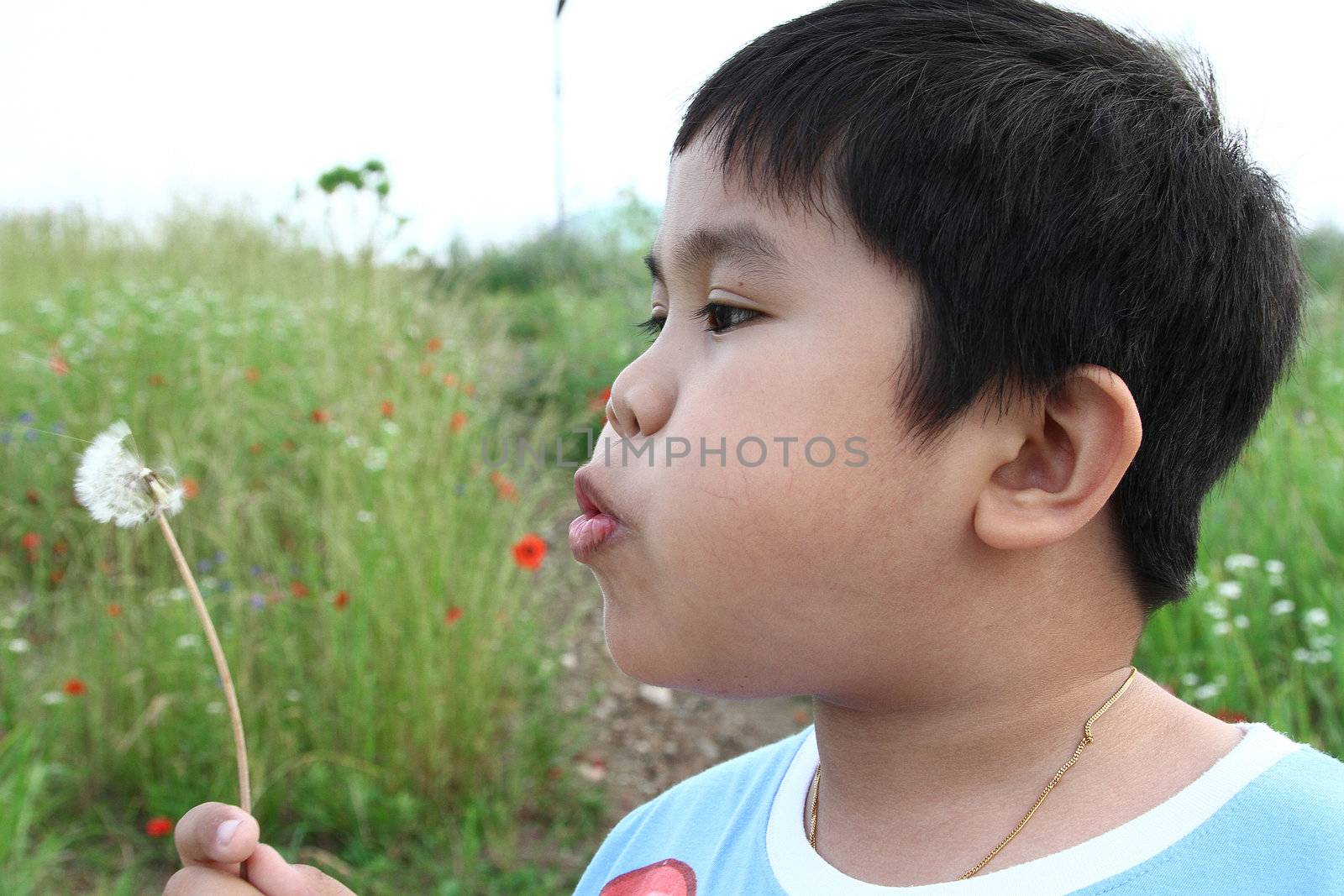 Beautiful boy blowing dandelion during summer in Korea.