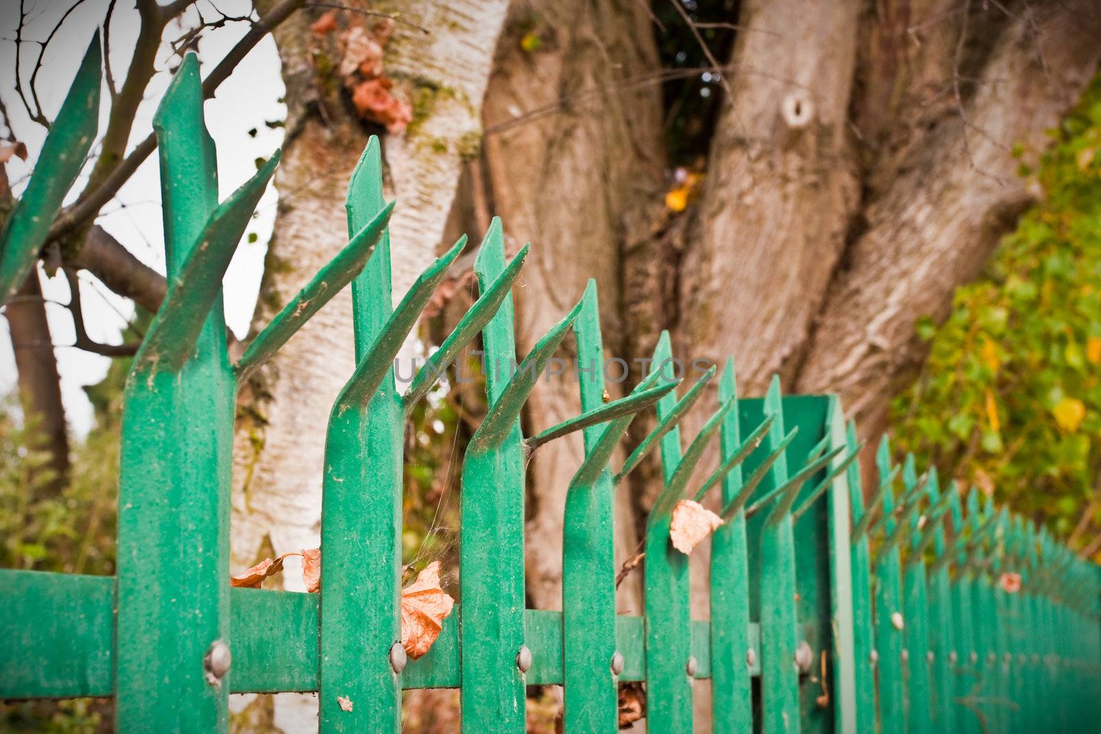 Fence spikes by trgowanlock