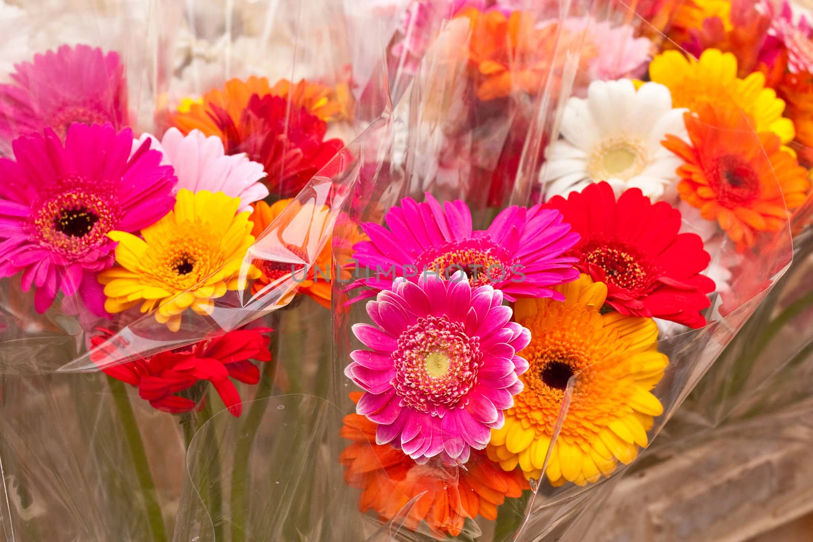 Bunches of colorful flowers in cellophane