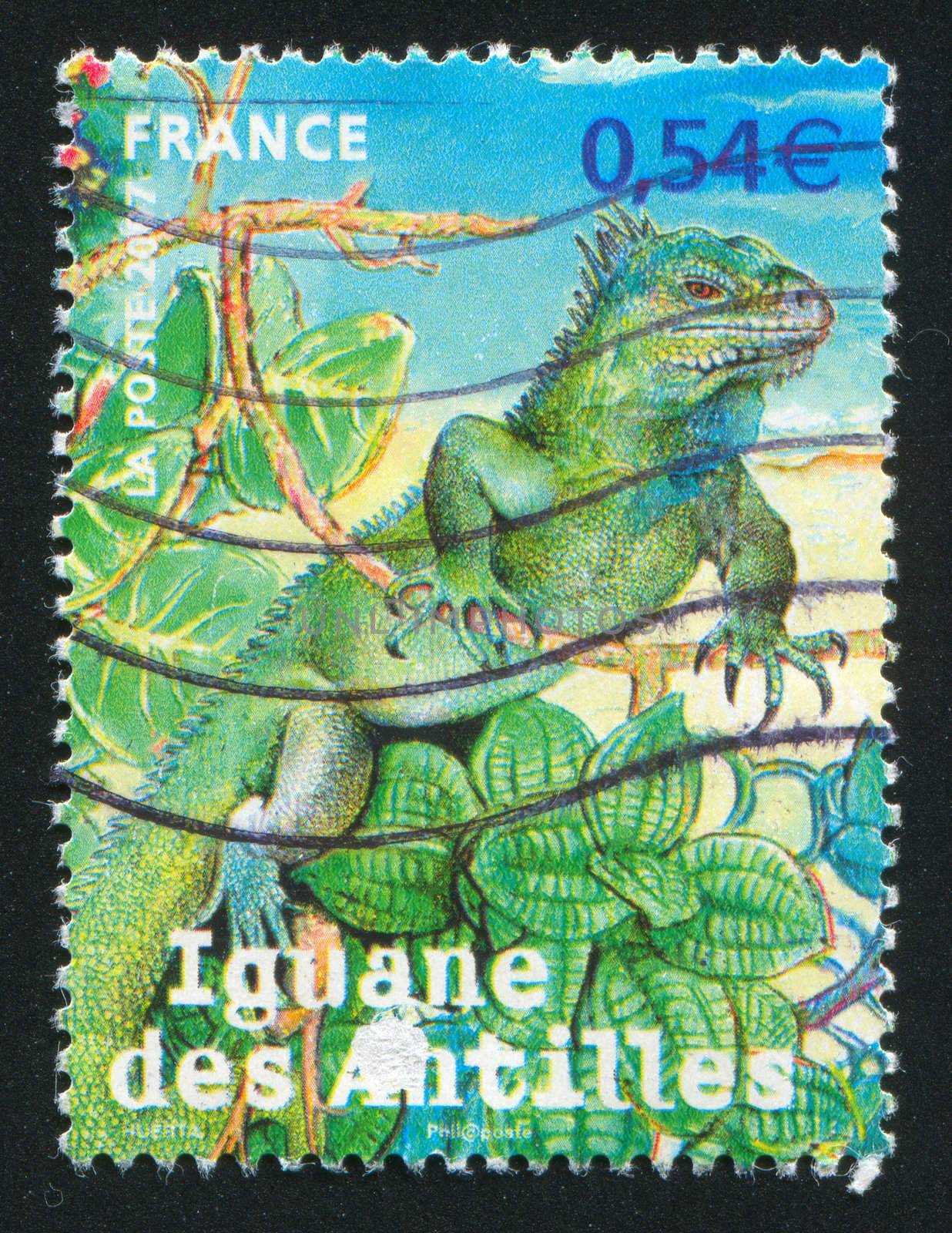 FRANCE - CIRCA 2007: stamp printed by France, shows Endangered animals overseas departments, circa 2007