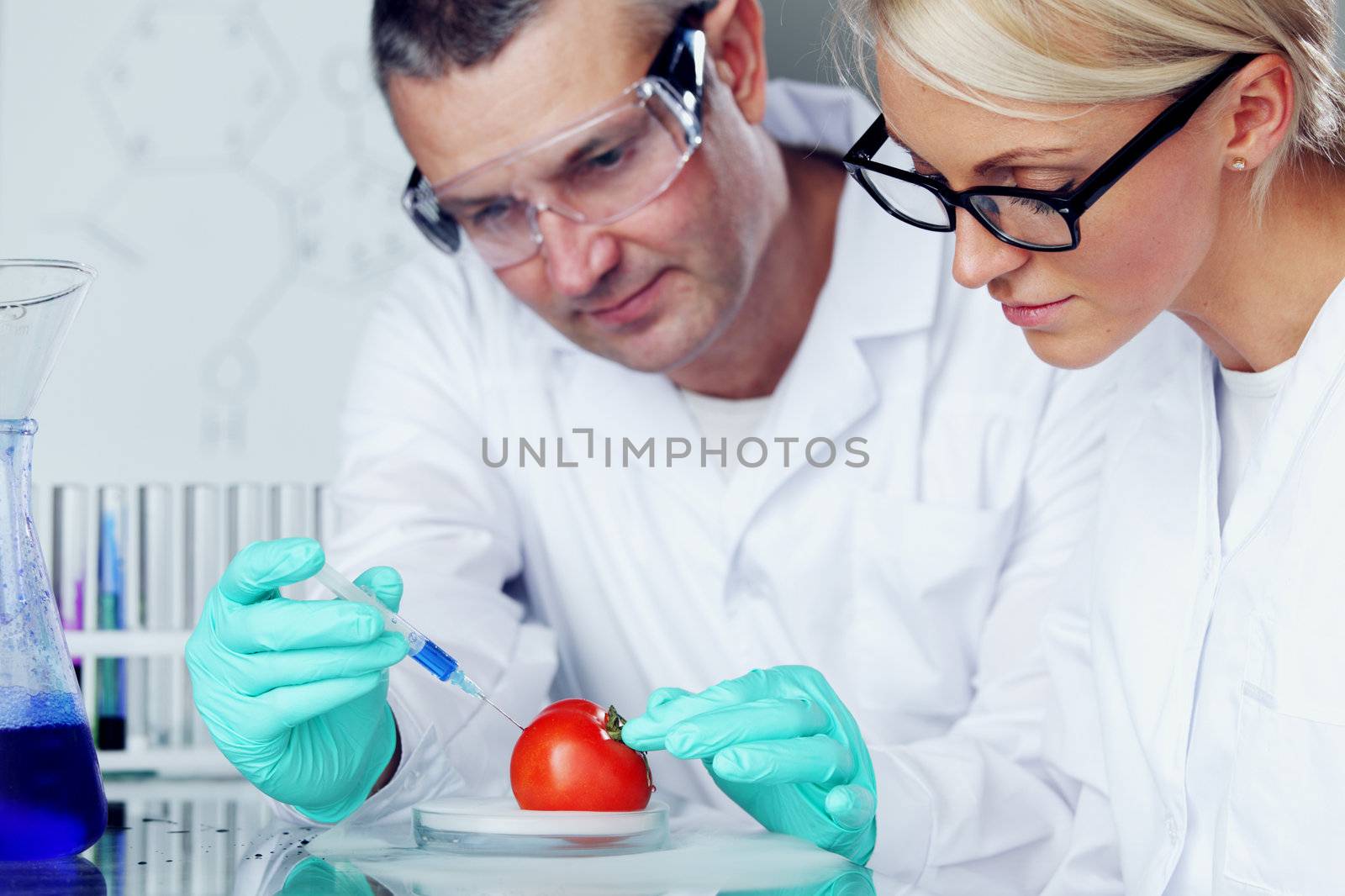 manand woman try to change tomato DNA