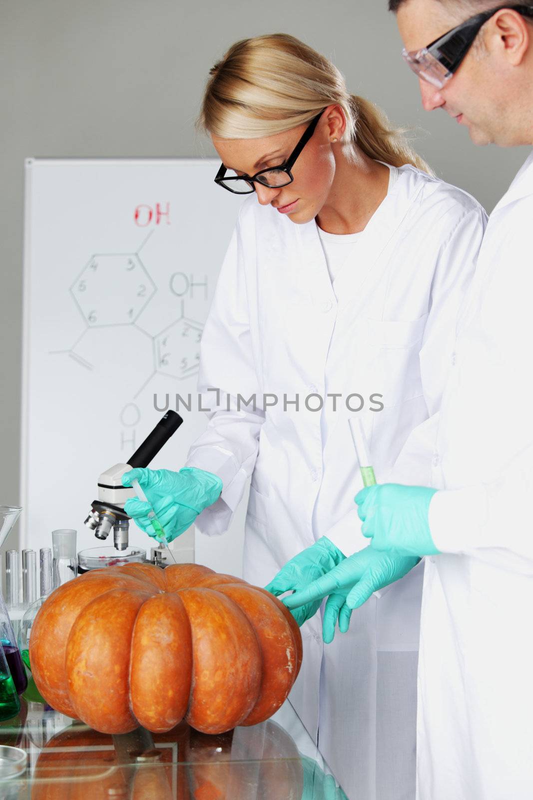 Scientist conducting genetic experiment with pumpkin