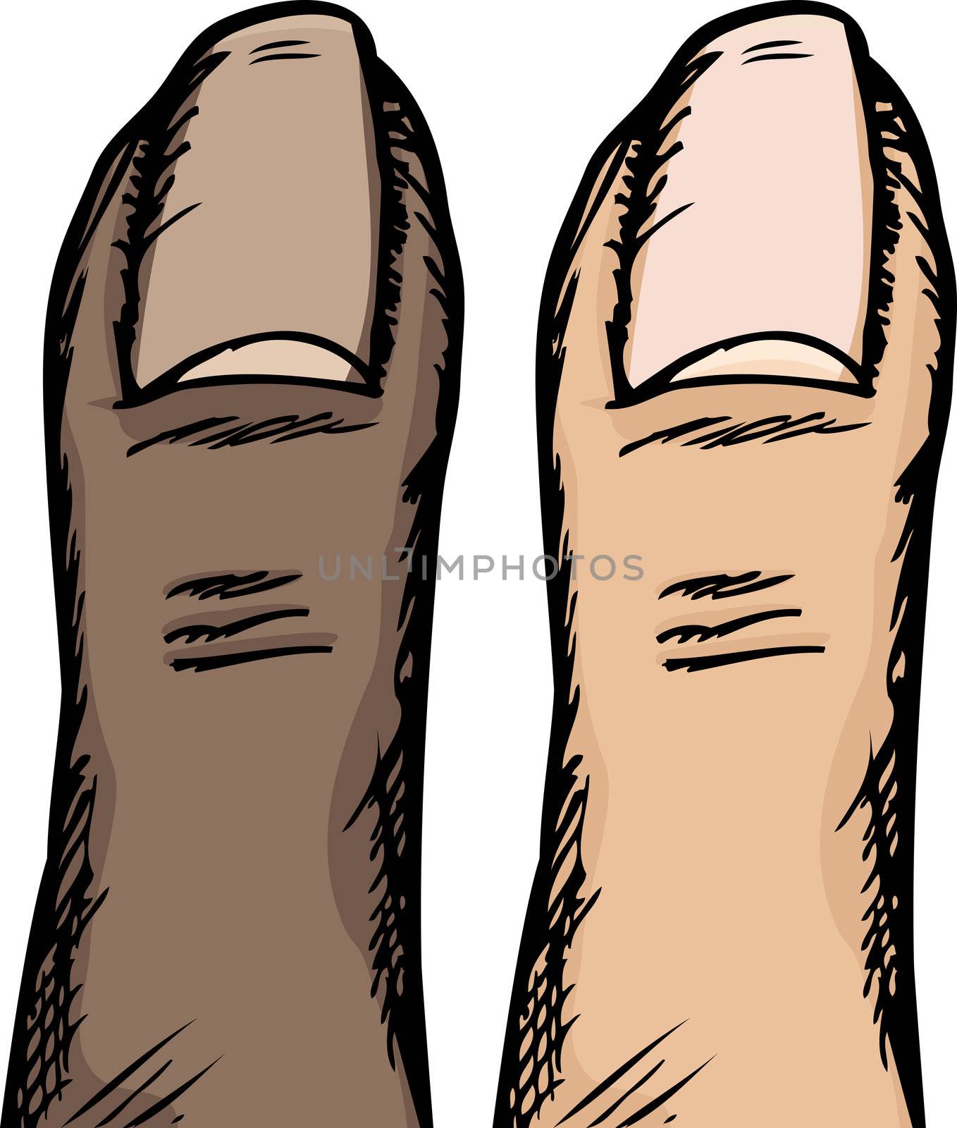Dark and light-skinned versions of a human thumb isolated over white
