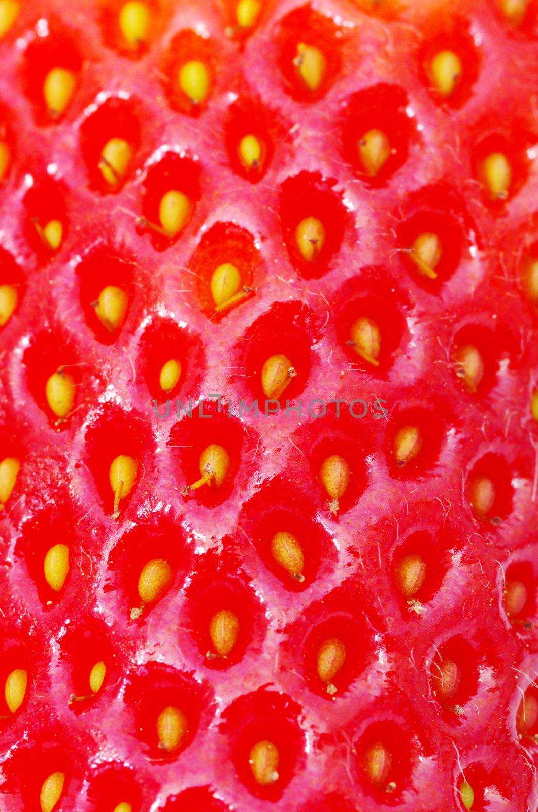 macro of a strawberry texture