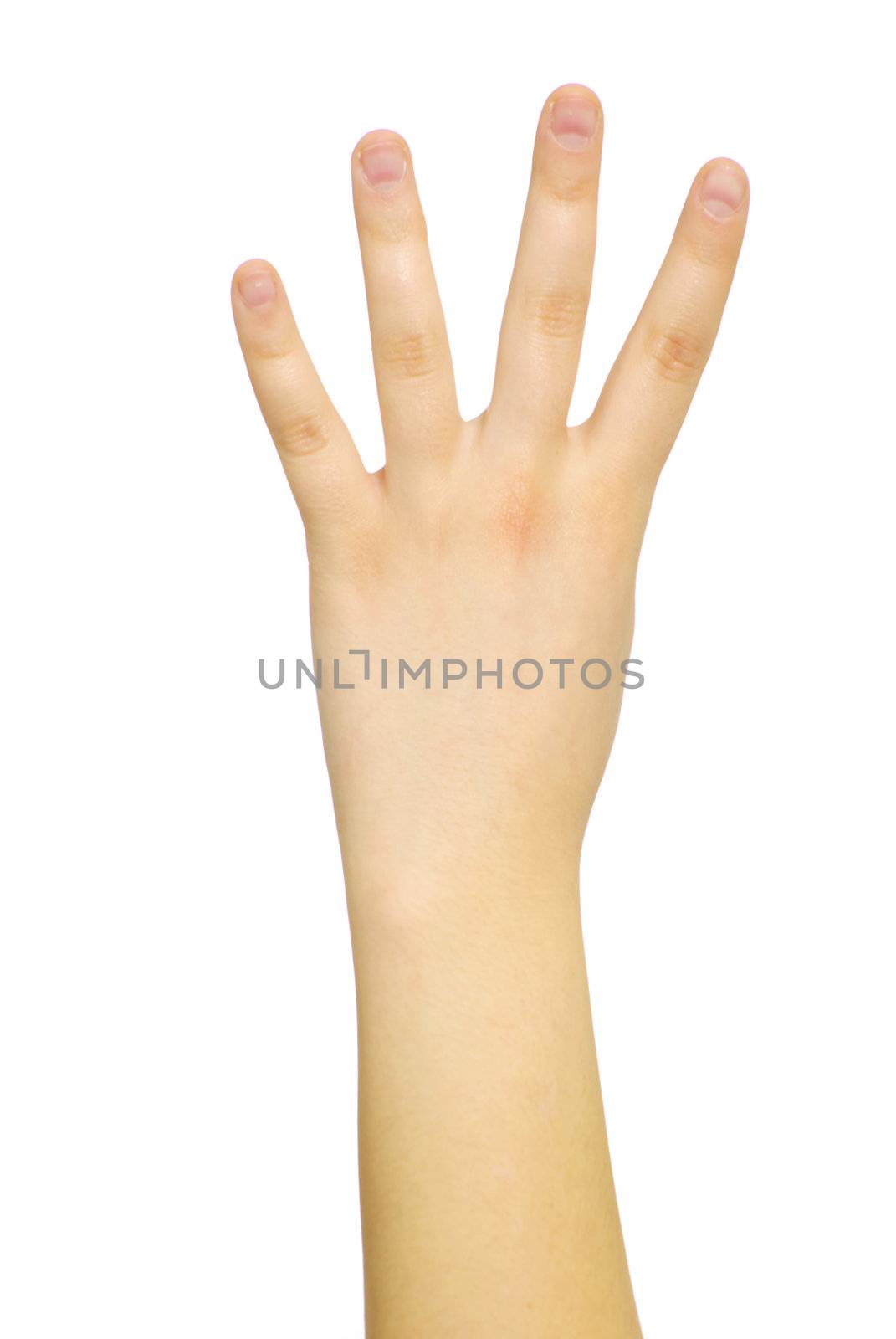  hand isolated on a white