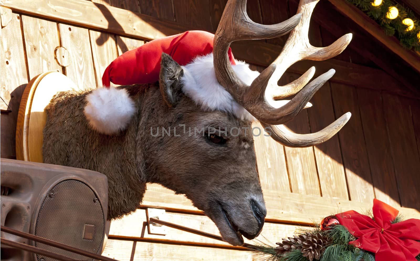 Elk in Santa cap at Christmas market