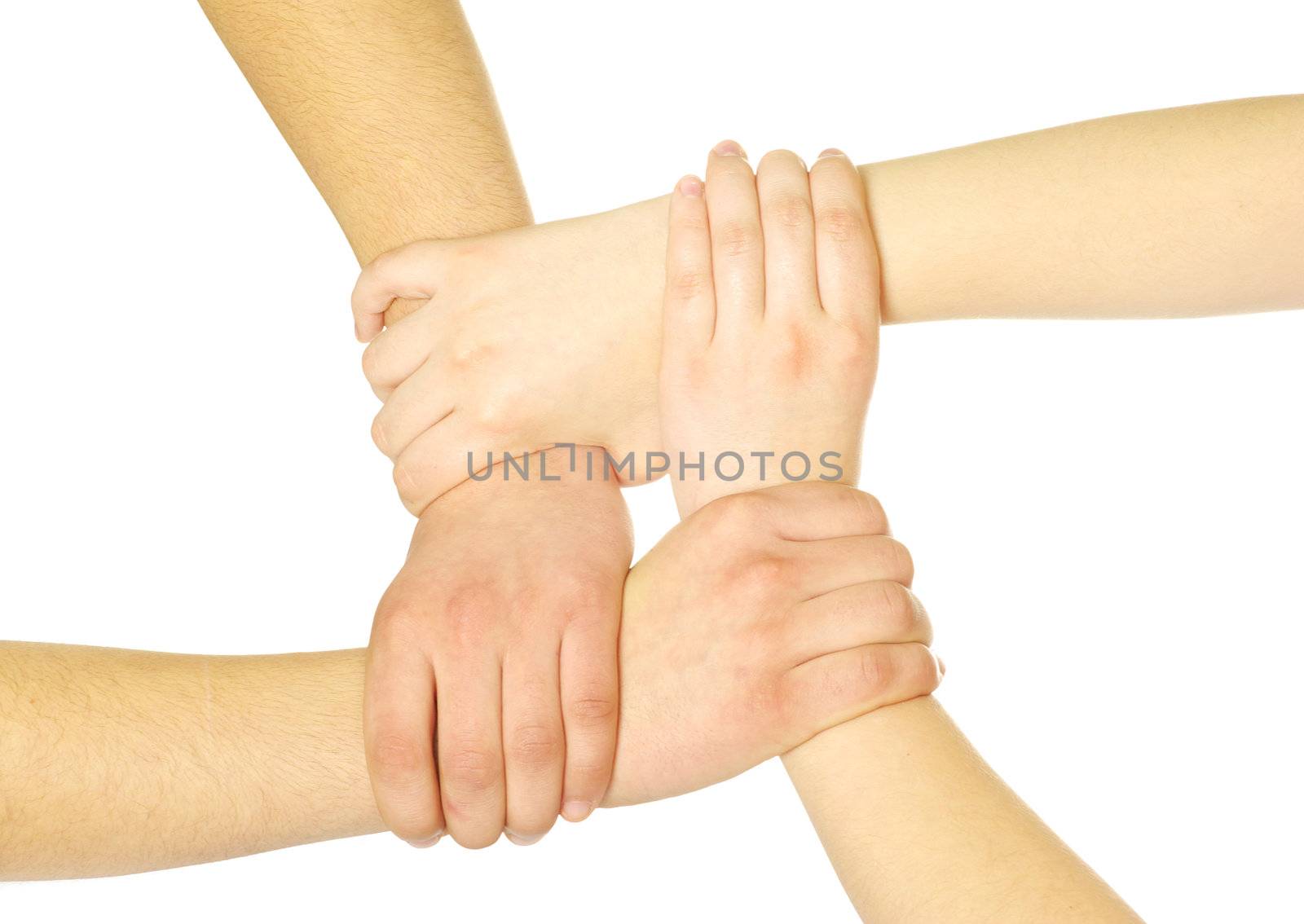 hands isolated on a white background