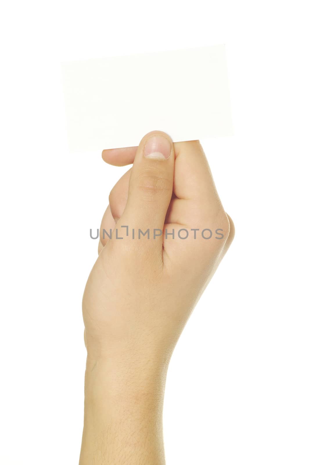 card blank in a hand isolated on white