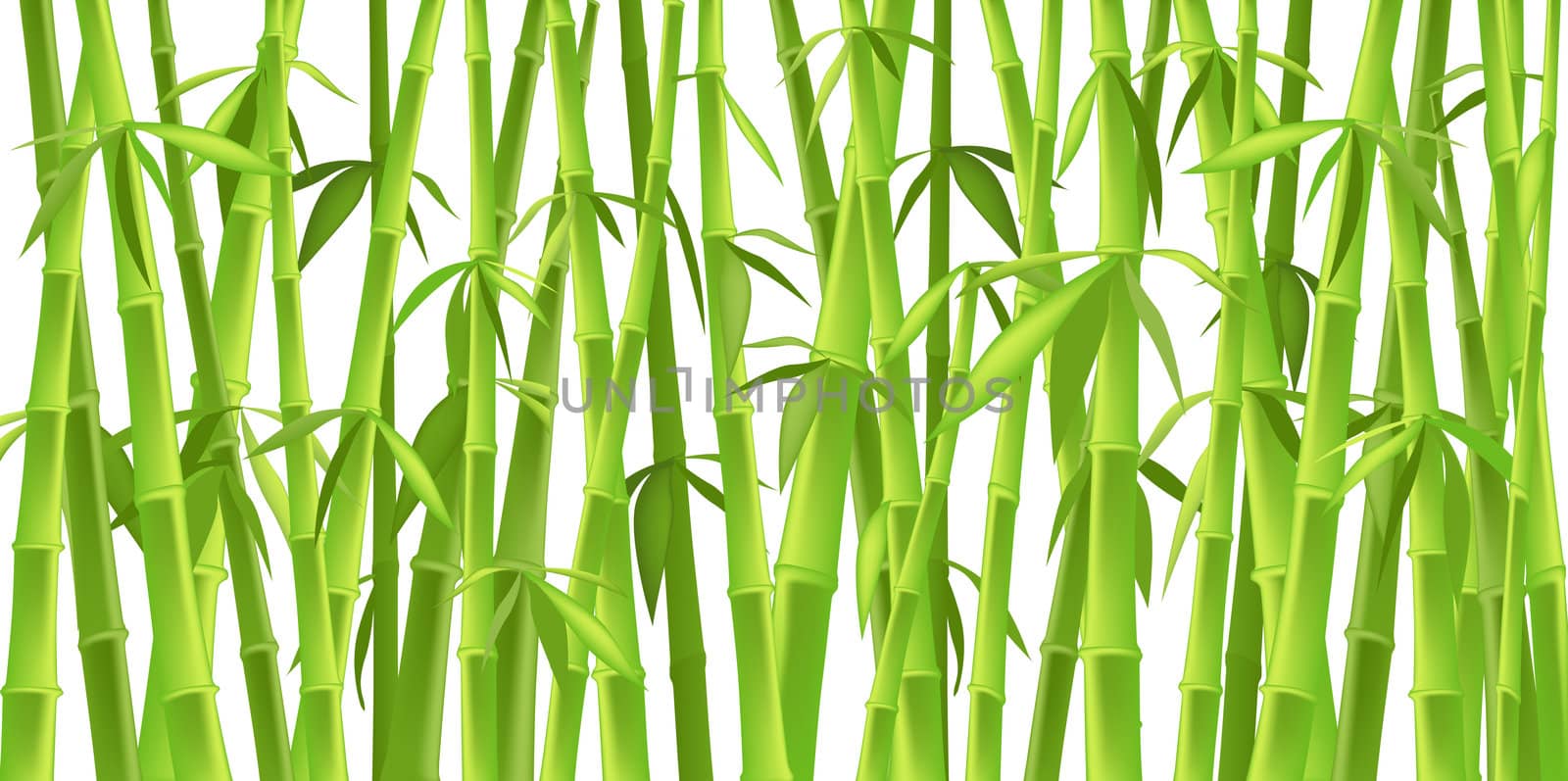 design of chinese bamboo trees, illustration background