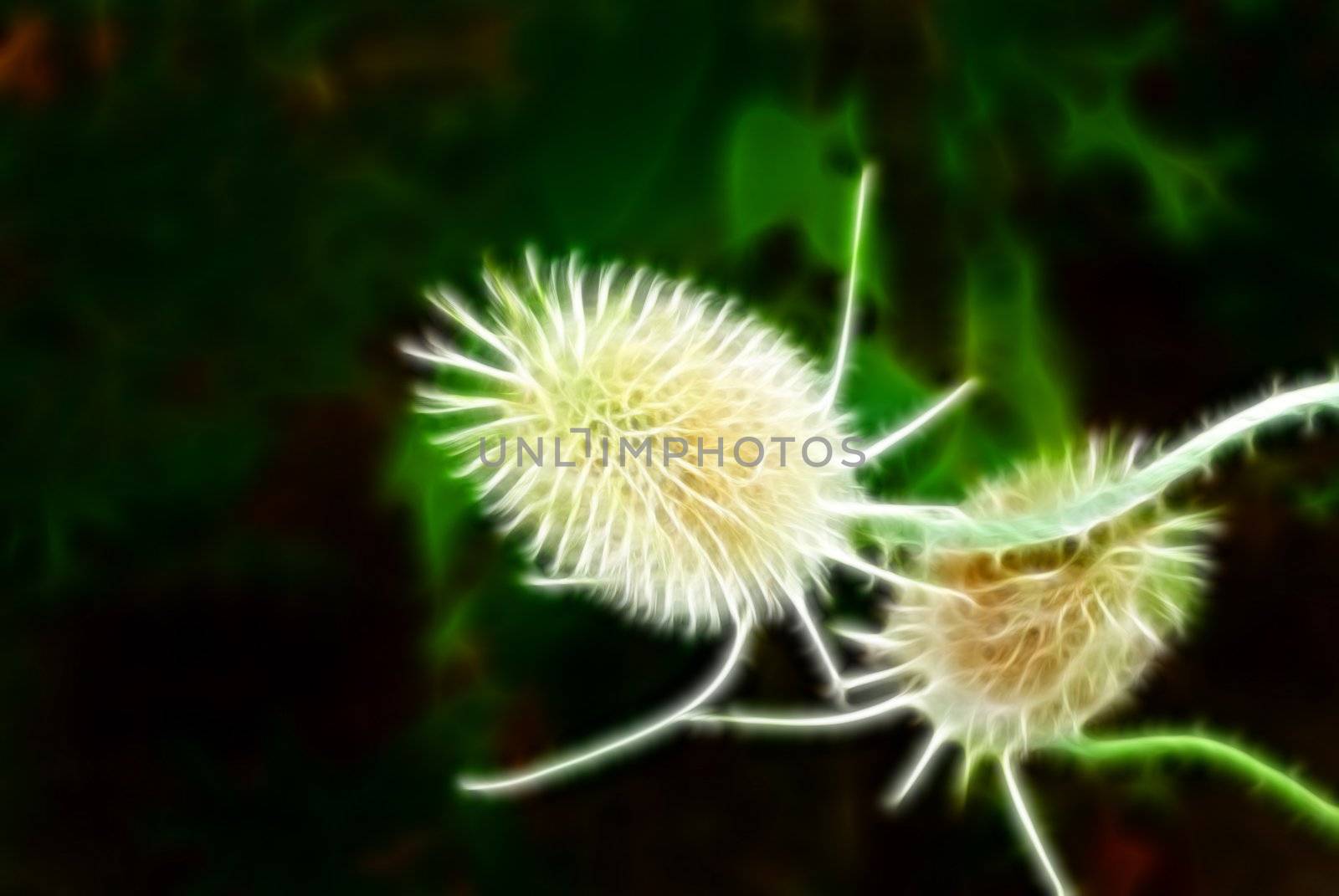 Green vegetative background without focus objects on black