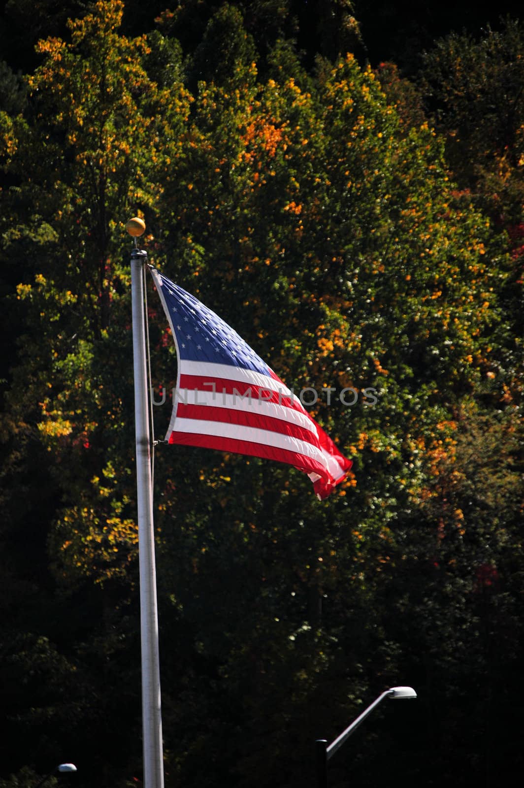 American flag by northwoodsphoto