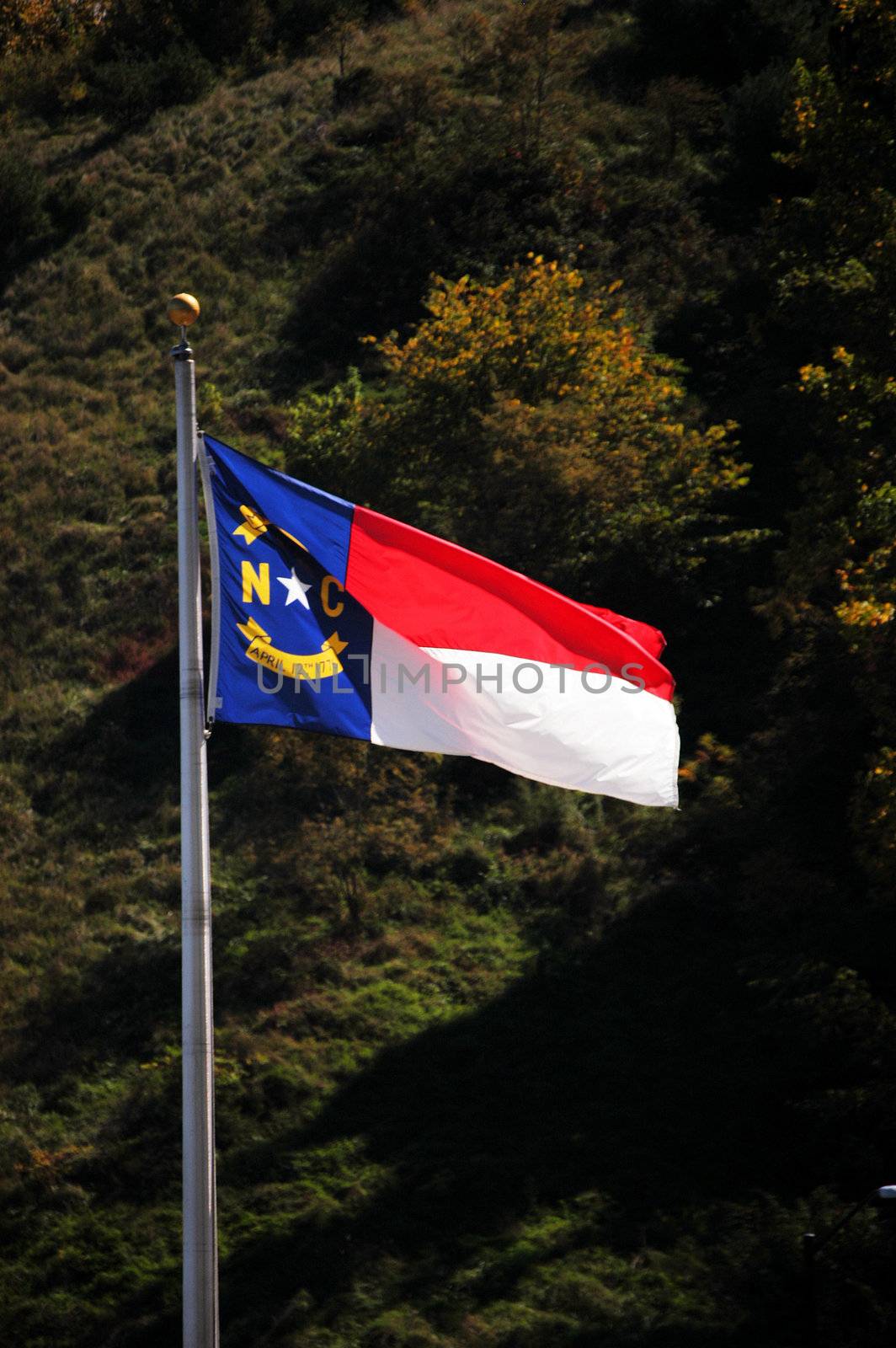North Carolina Flag in the breeze by northwoodsphoto