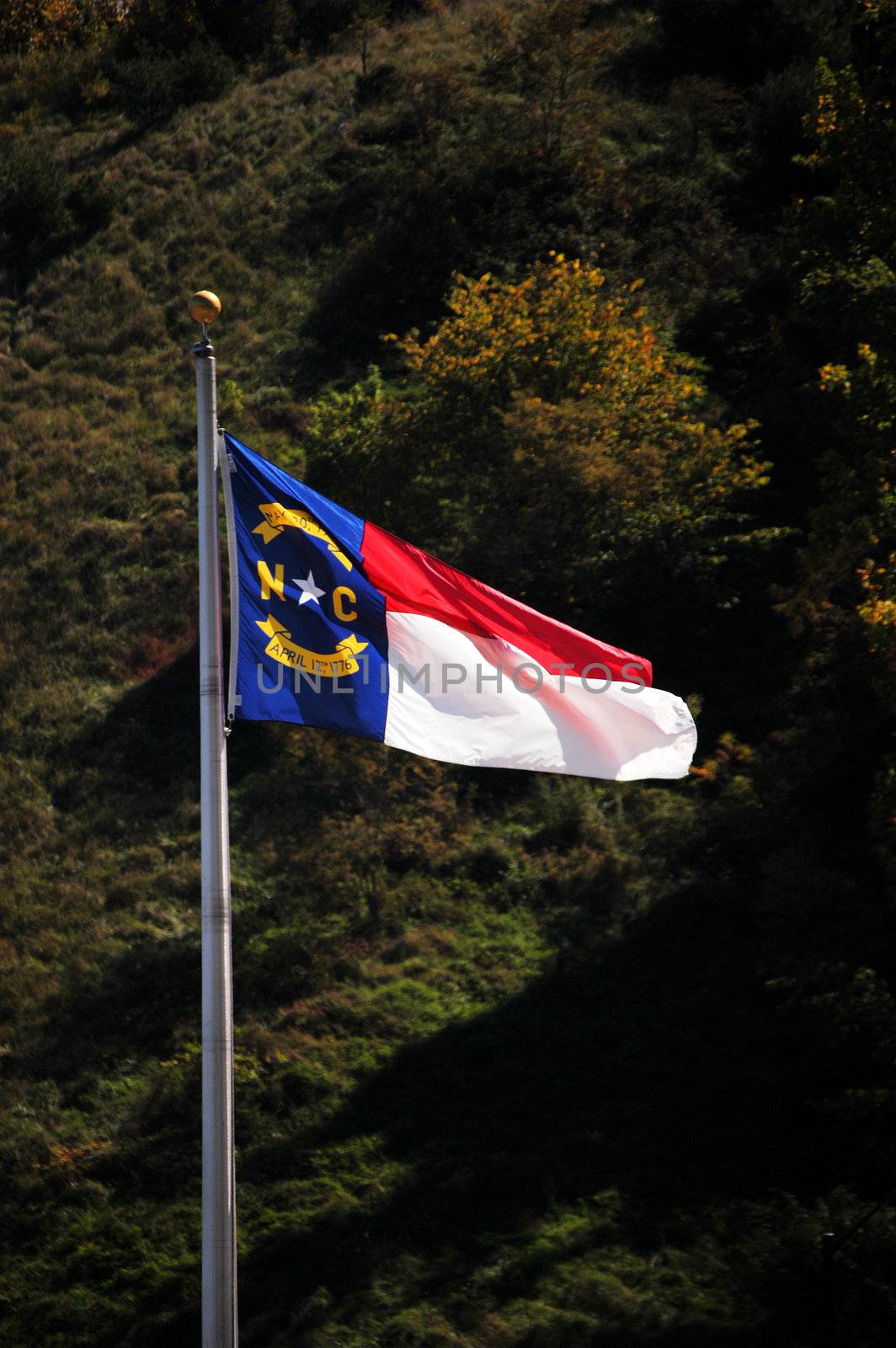 North Carolina flag in the breeze