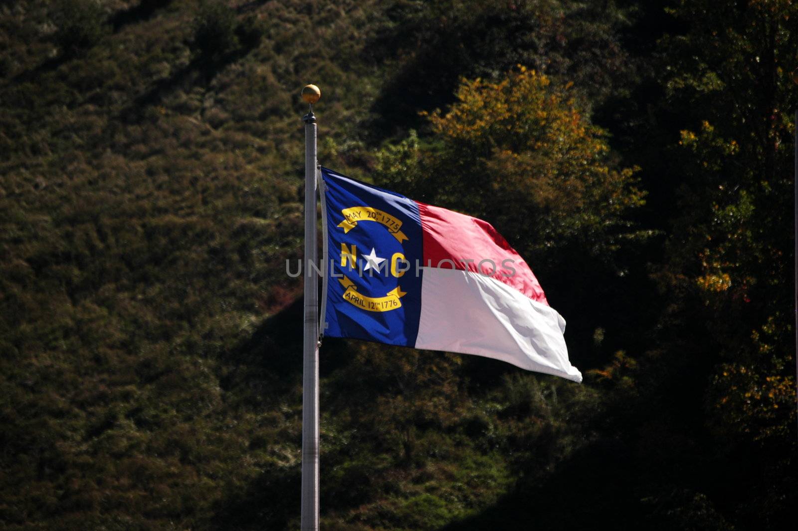 North Carolina flag blowing in the breeze