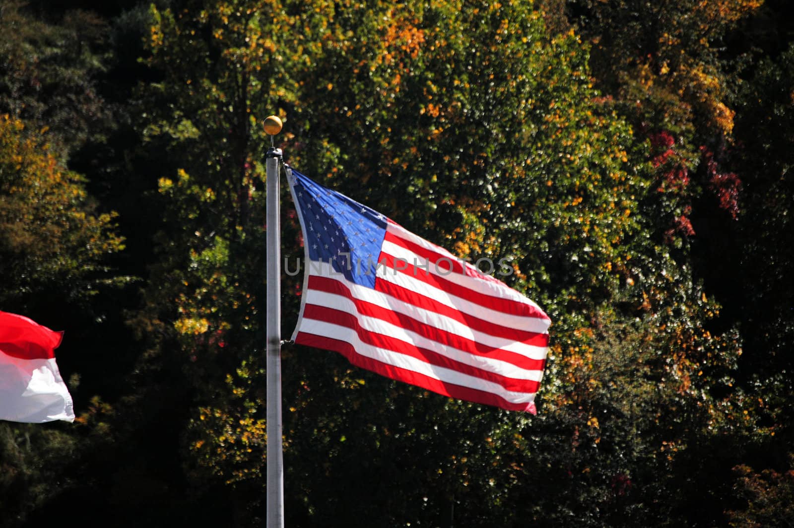 US flag by northwoodsphoto