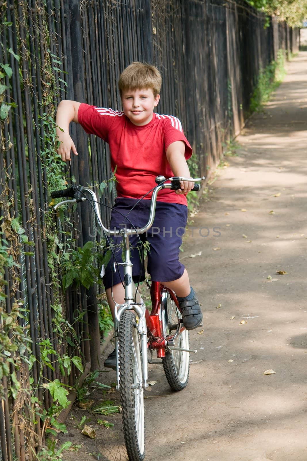 Boy on a bicycle in a summer park