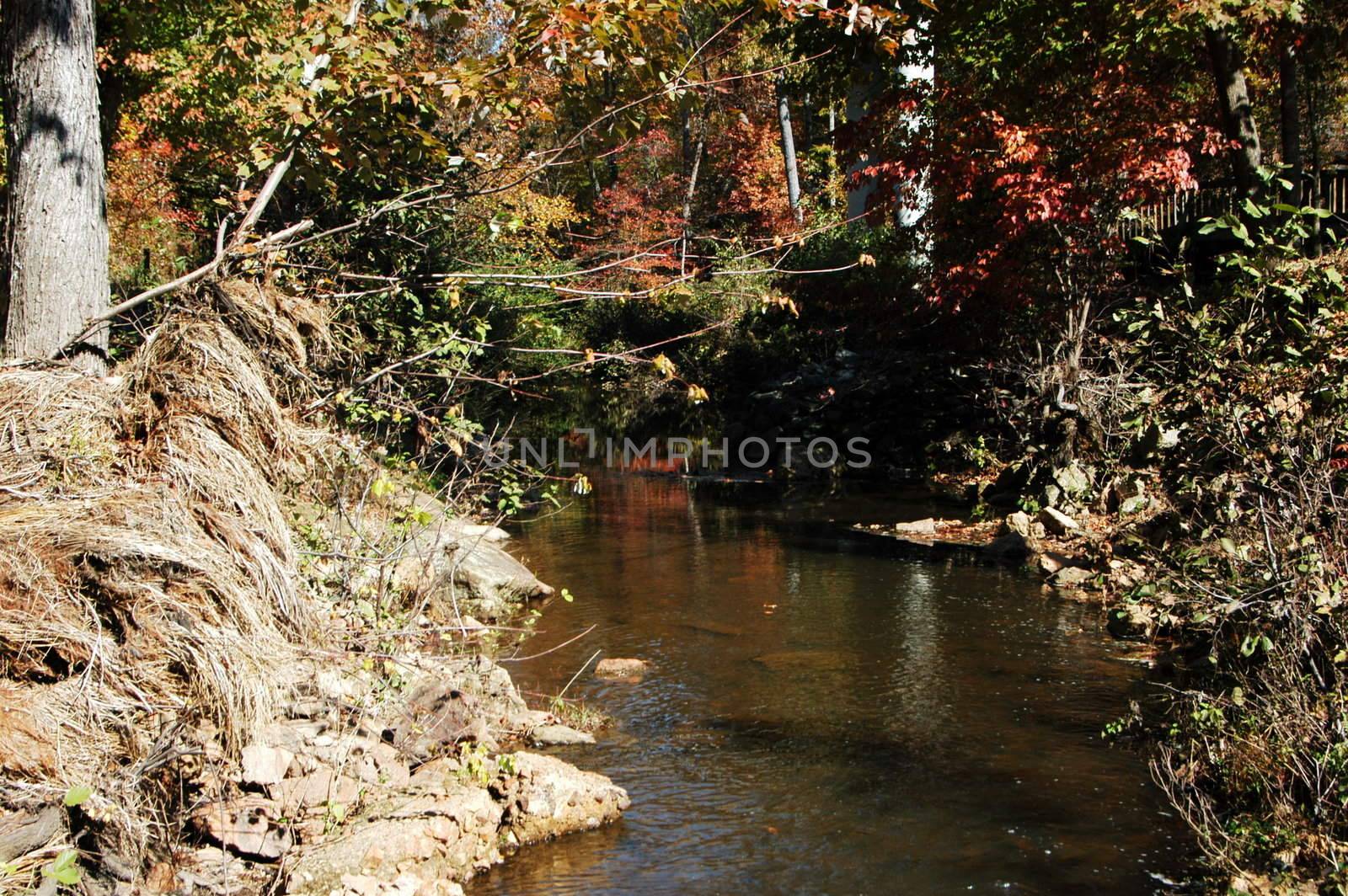 Creek in the fall by northwoodsphoto