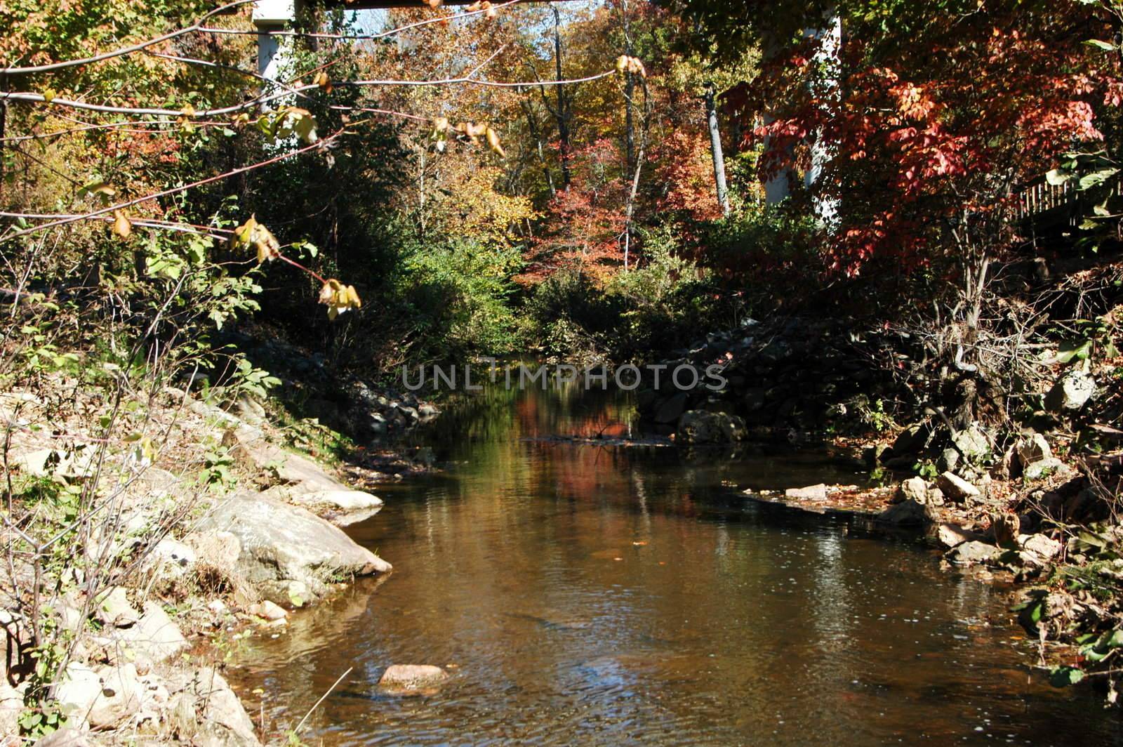 A small creek seen in the fall of the year