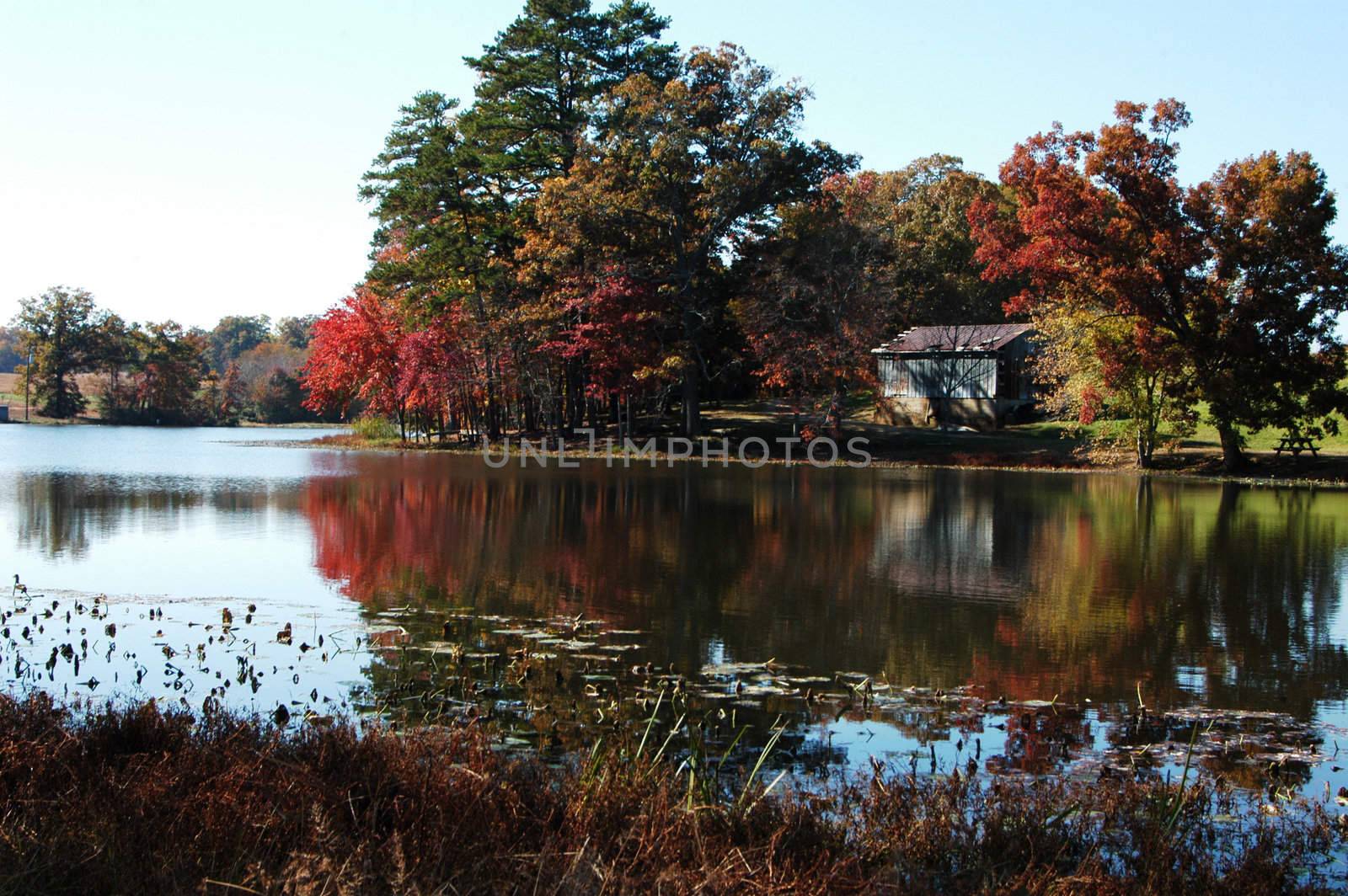 A reflection on the water during the fall