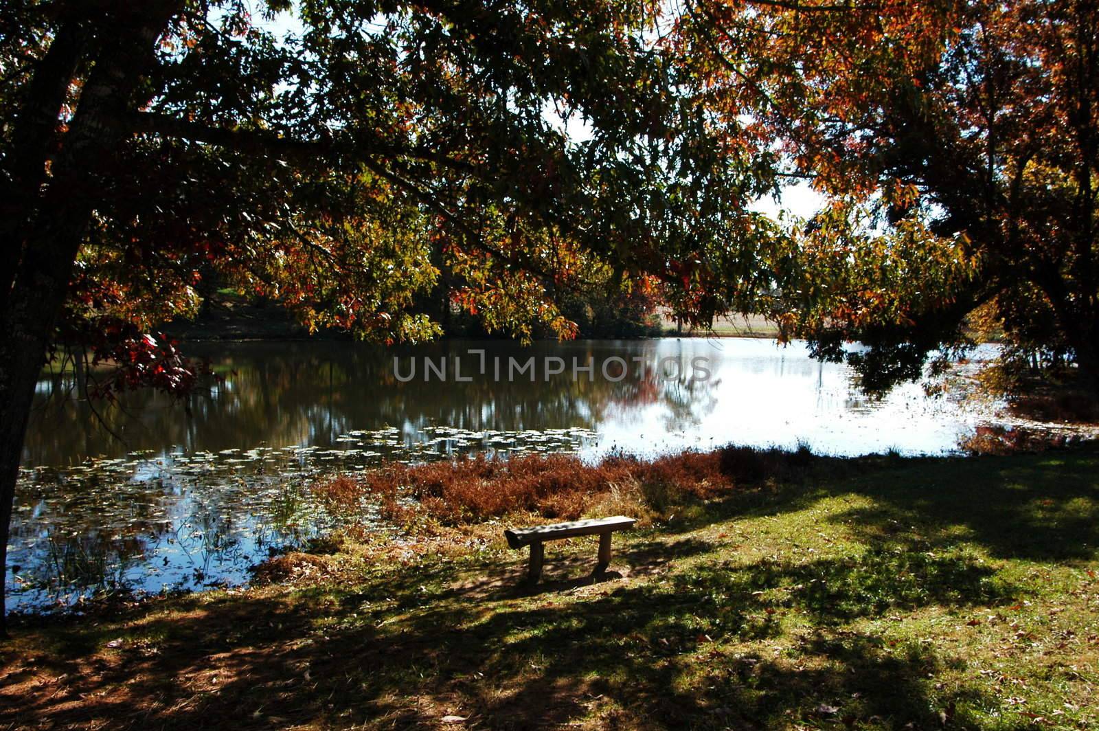 A park bench scene during the fall of the year along the lake