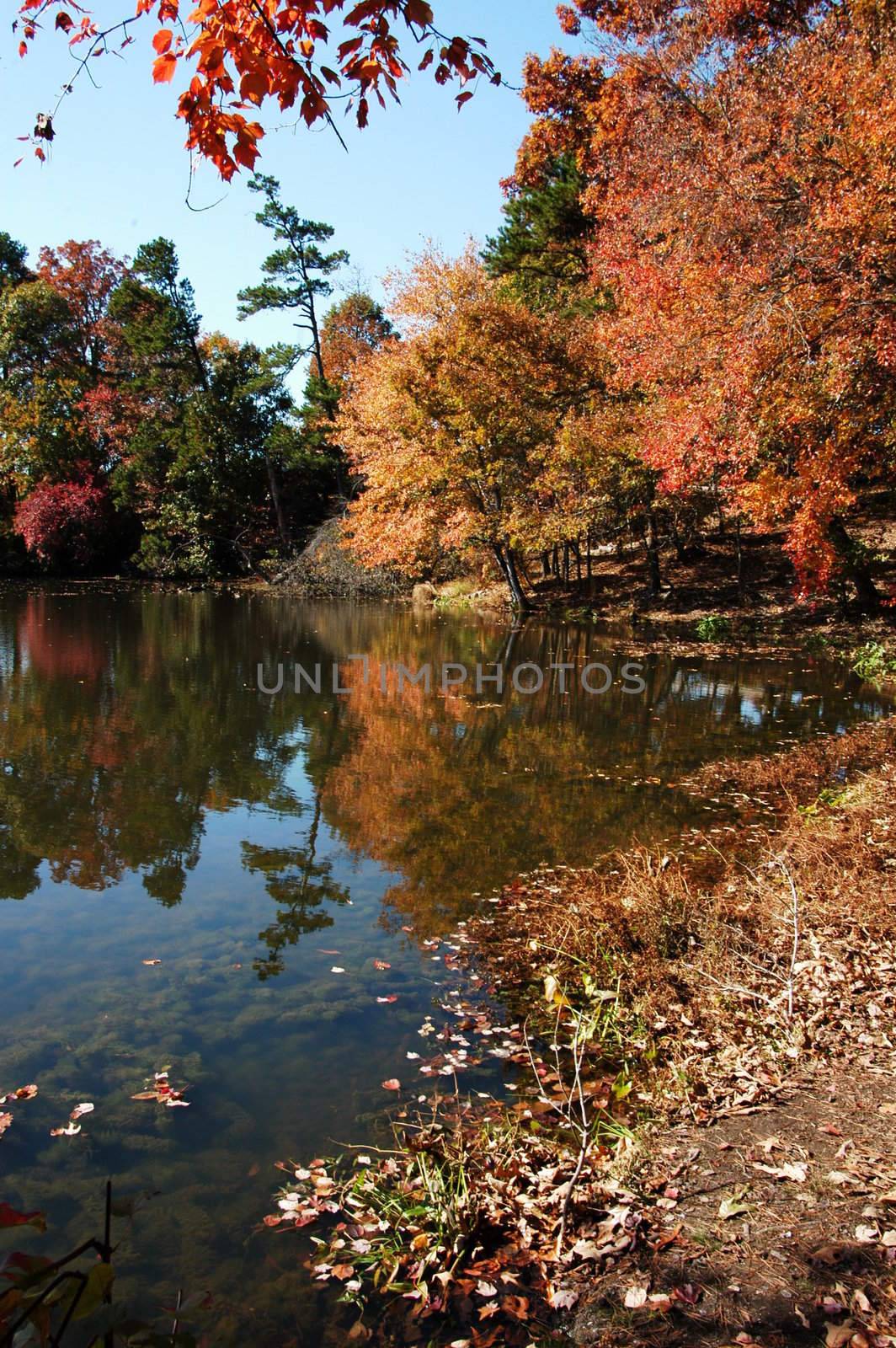 A reflection on the water during the fall