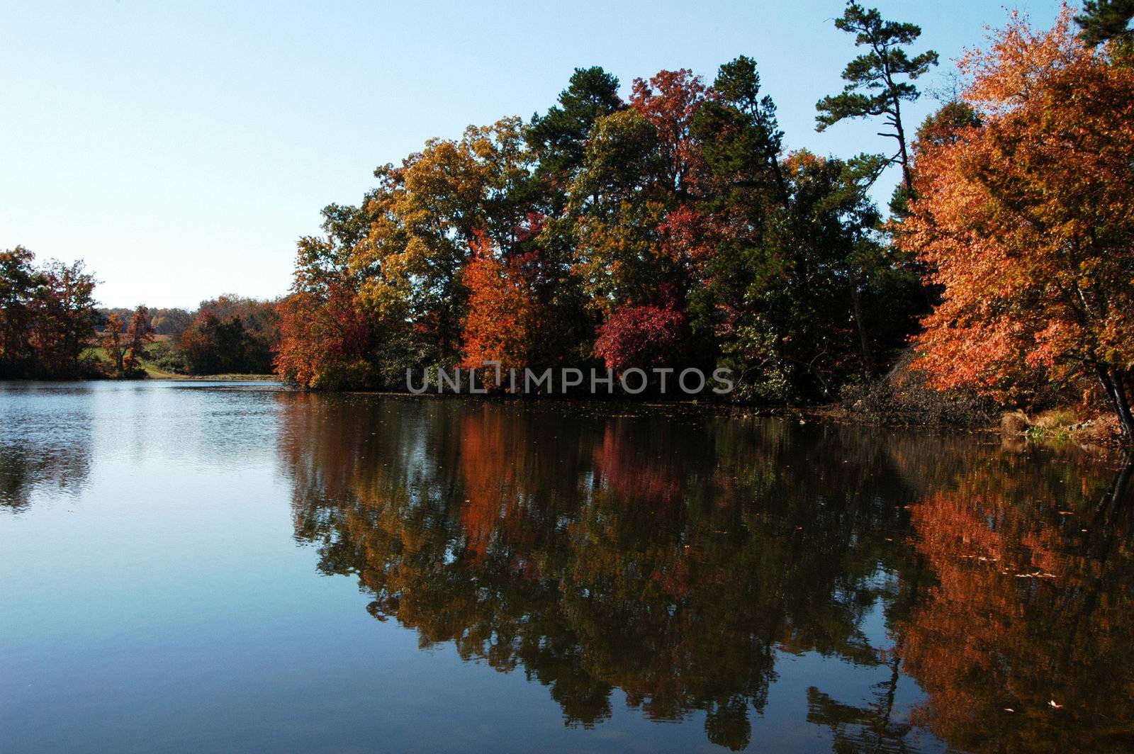 a lake scene during the fall of the year