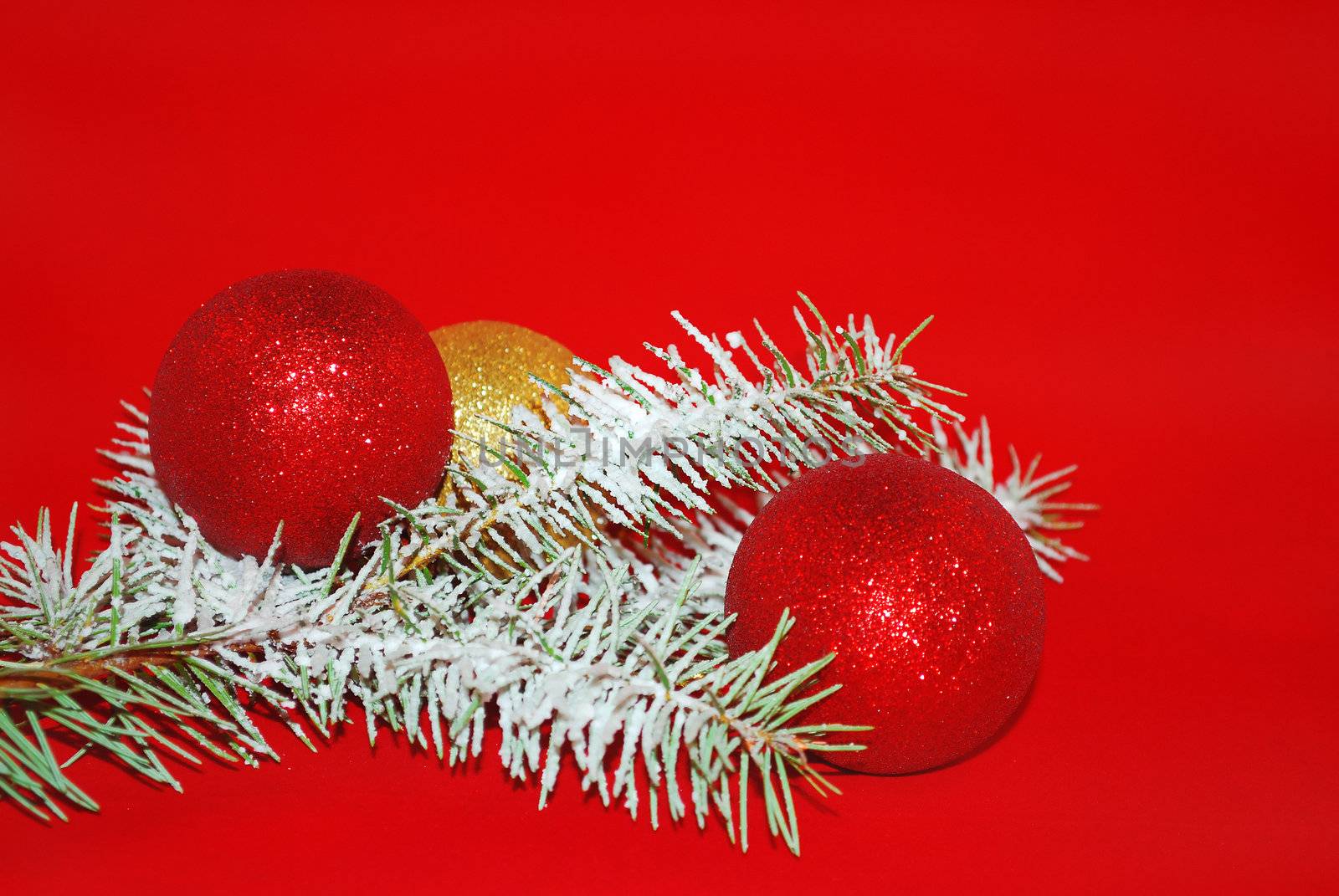 Snow pine with Christmas ornaments are on the red background. 