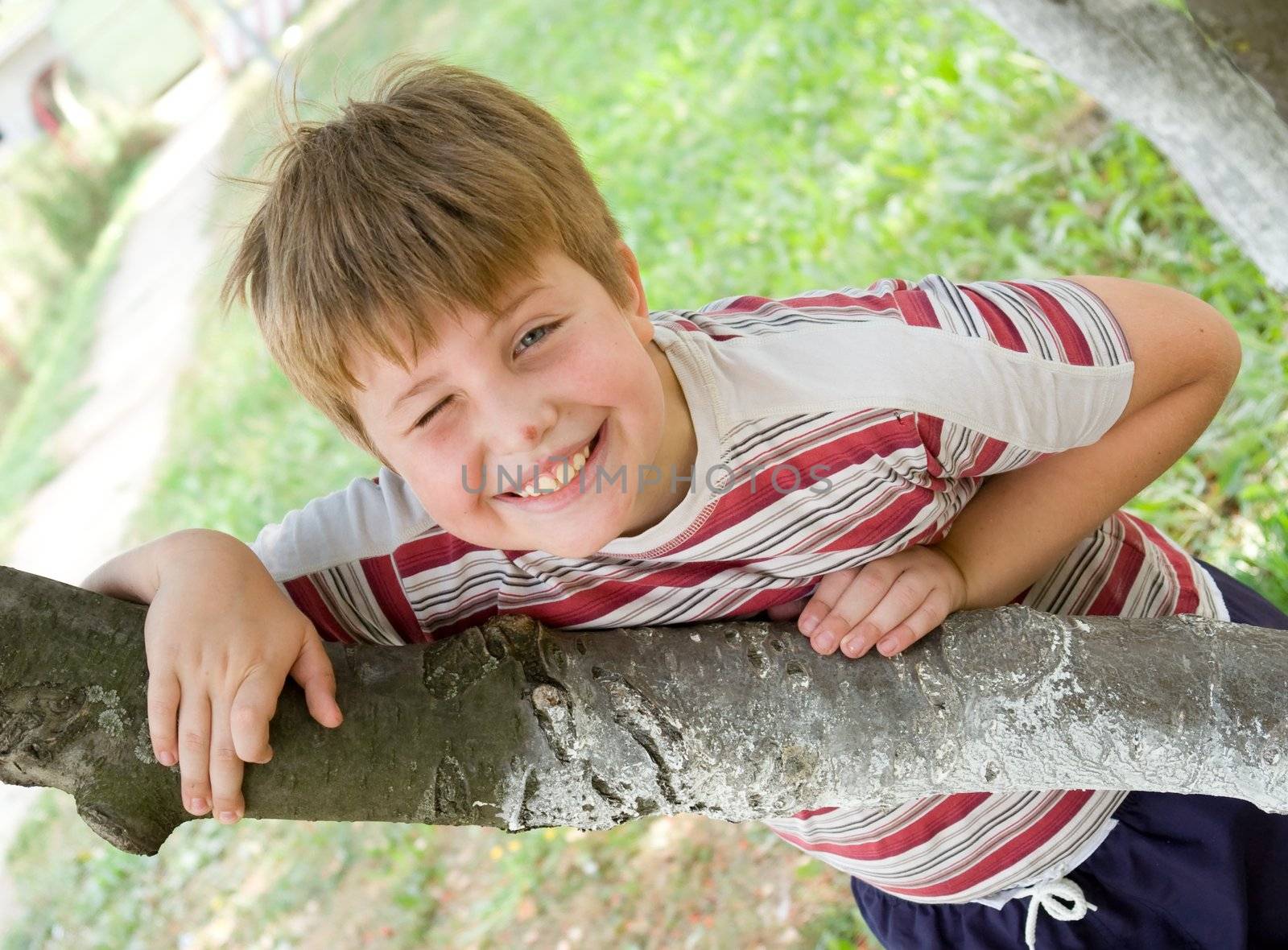 Portrait of a boy with a pleased smile upon one's face