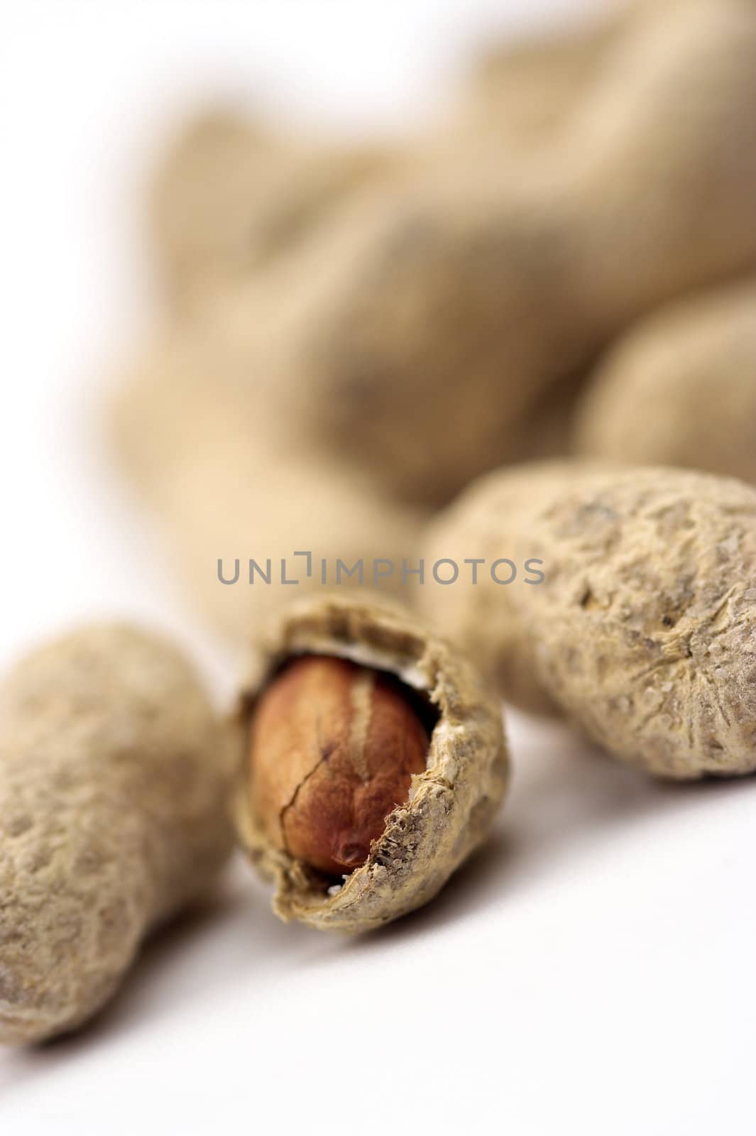 Peanuts close up by alexkosev