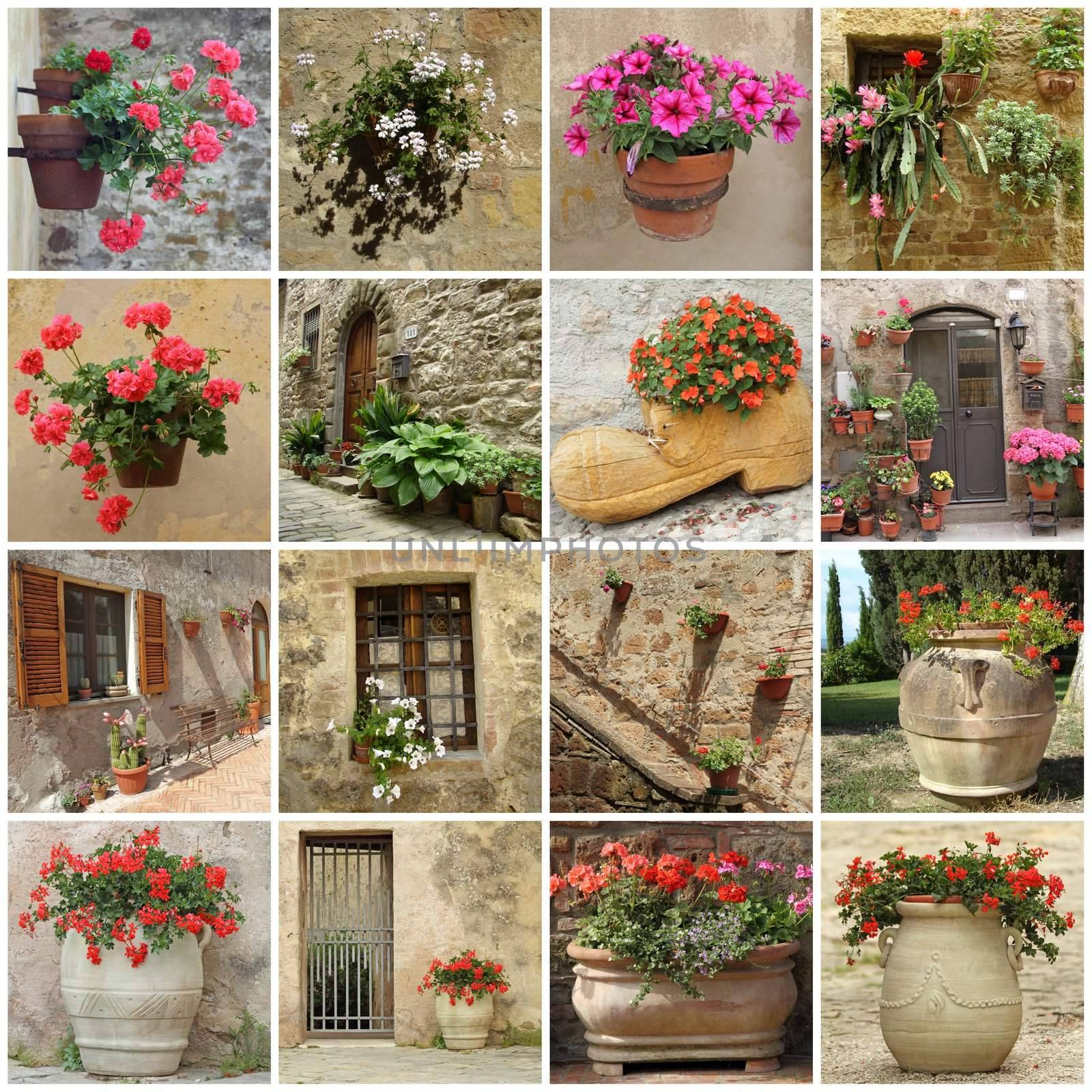 gardening collage of flowerpots on wall, terrace, backyards and in front of the doors, Tuscany, Italy.