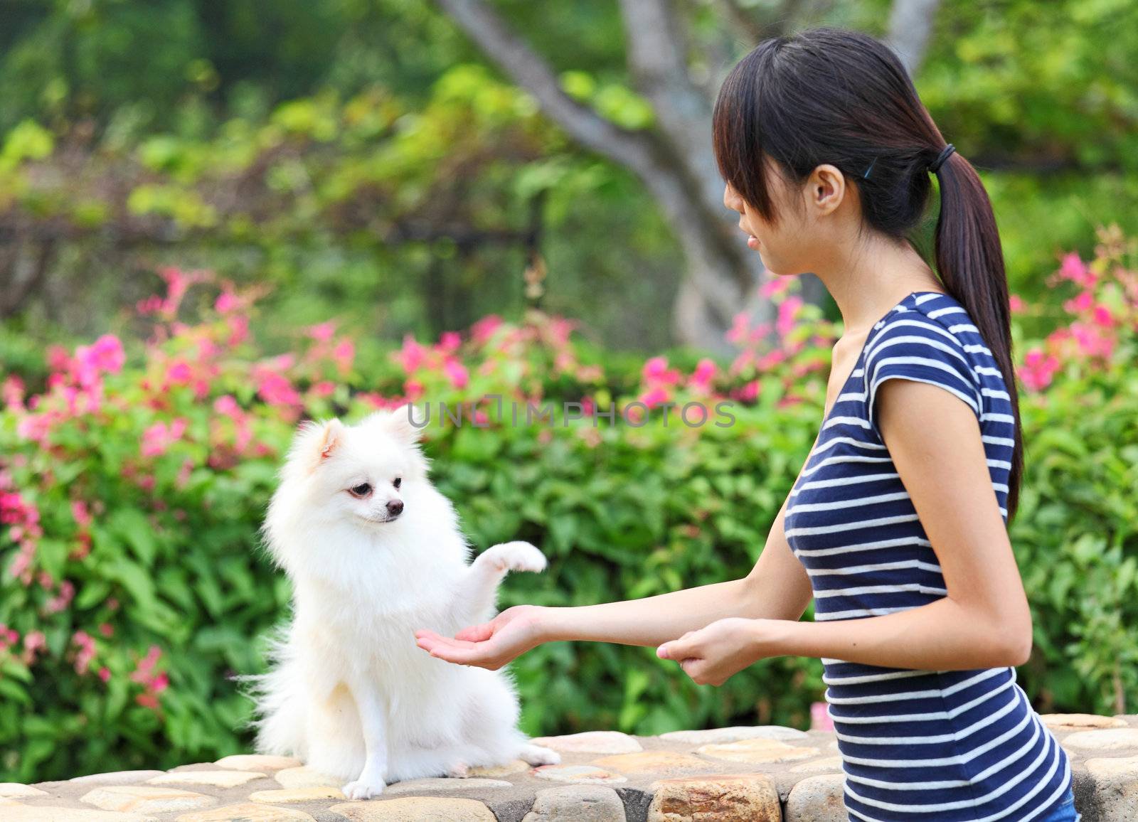 woman training her dog