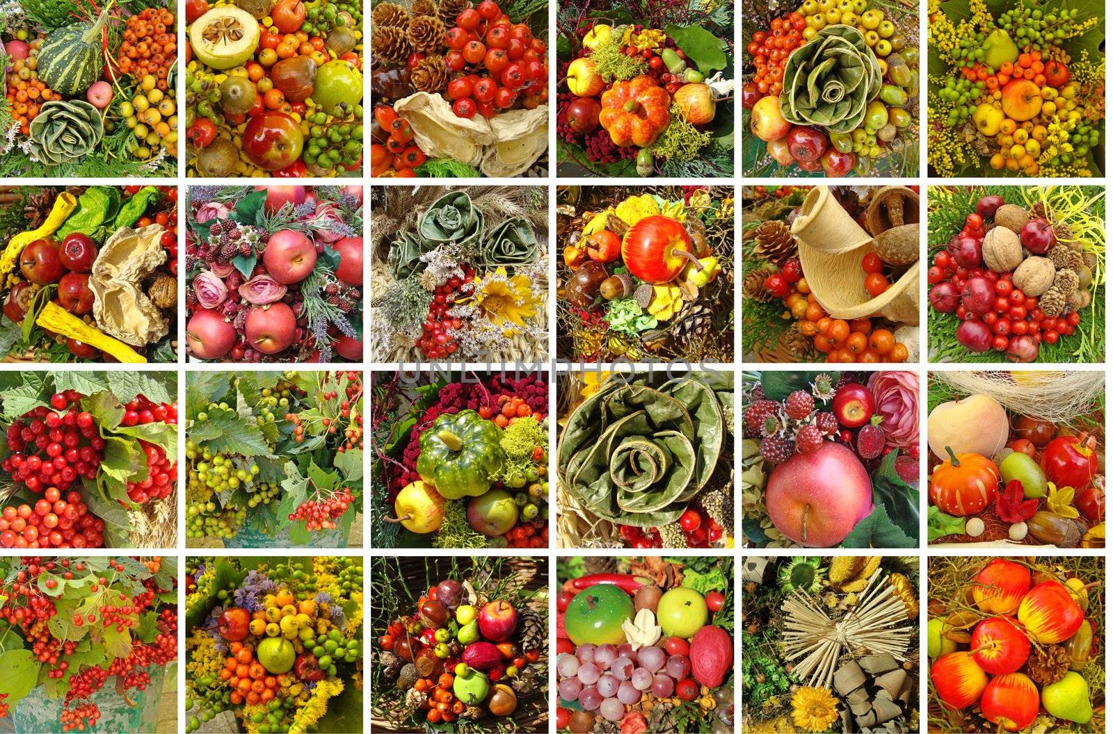 collage with colorful vegetable autumnal compositions