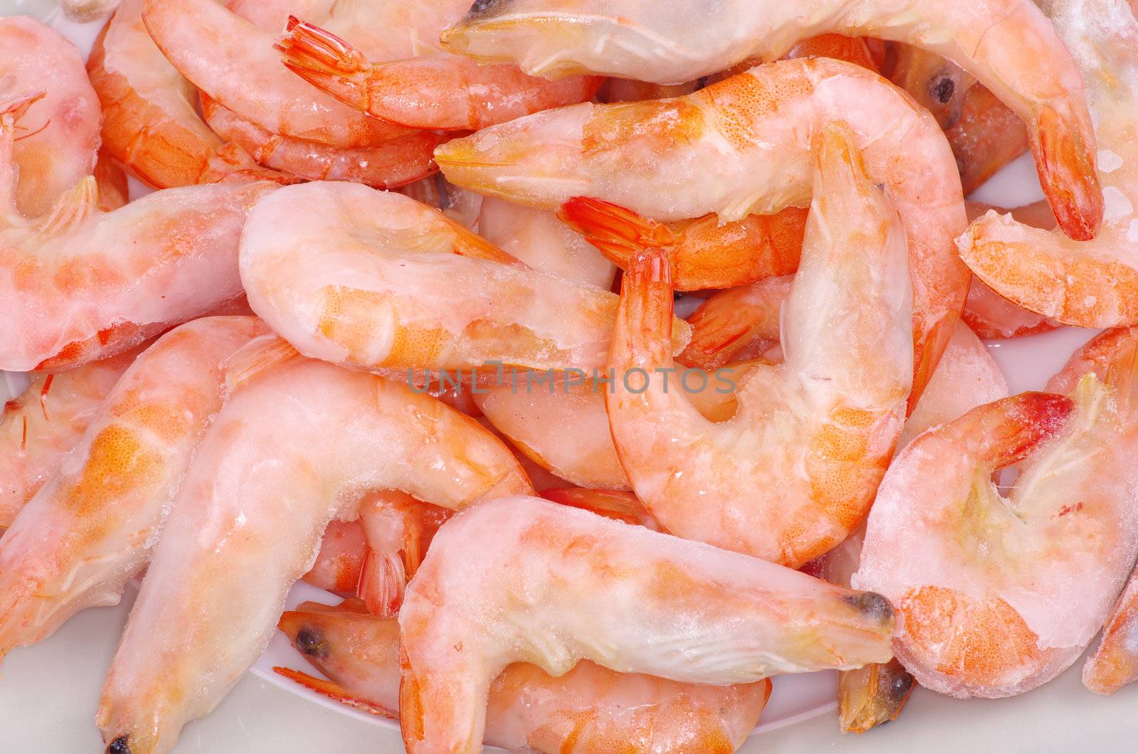 fresh shrimp background close up