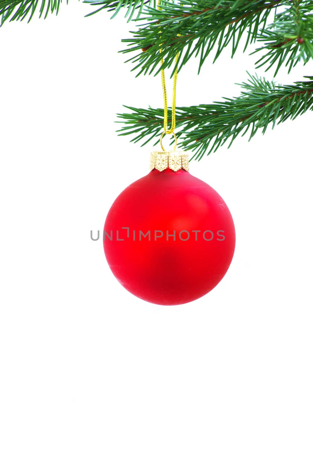 Christmas ball isolated on the white background