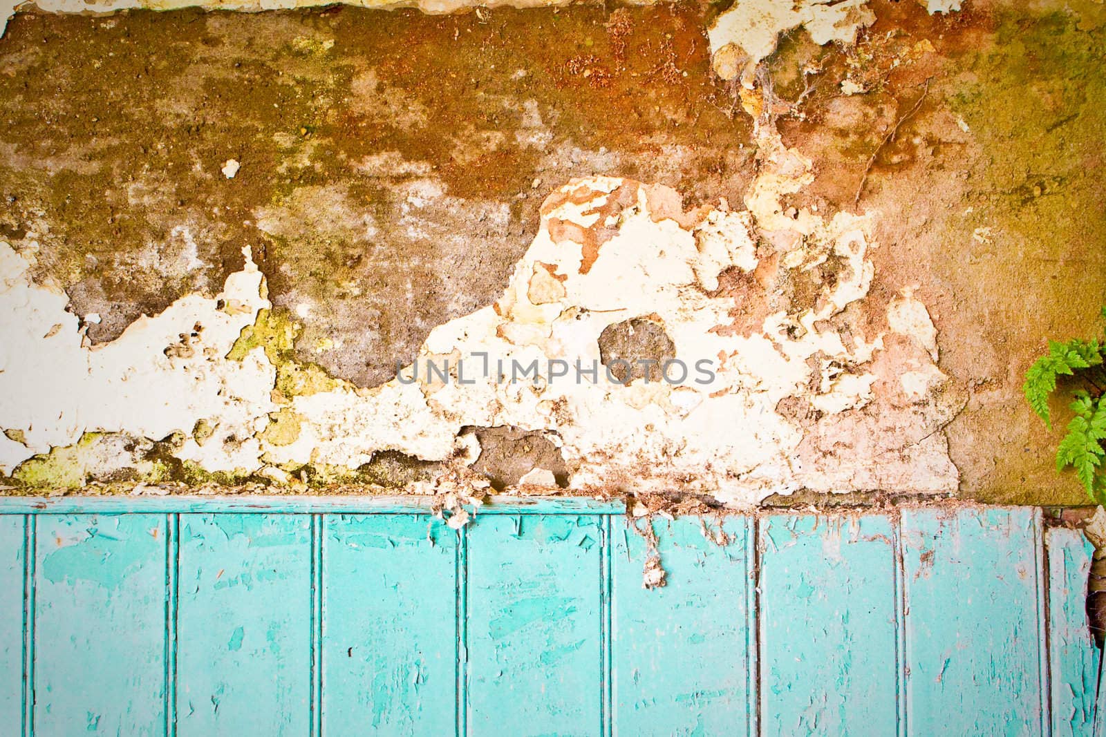 An interesting textured background image of a decaying wall and blue wooden panels