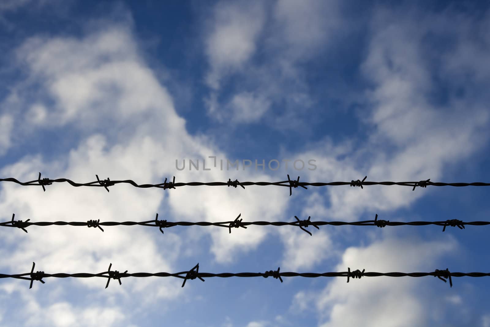 Barbed wire towards blue sky