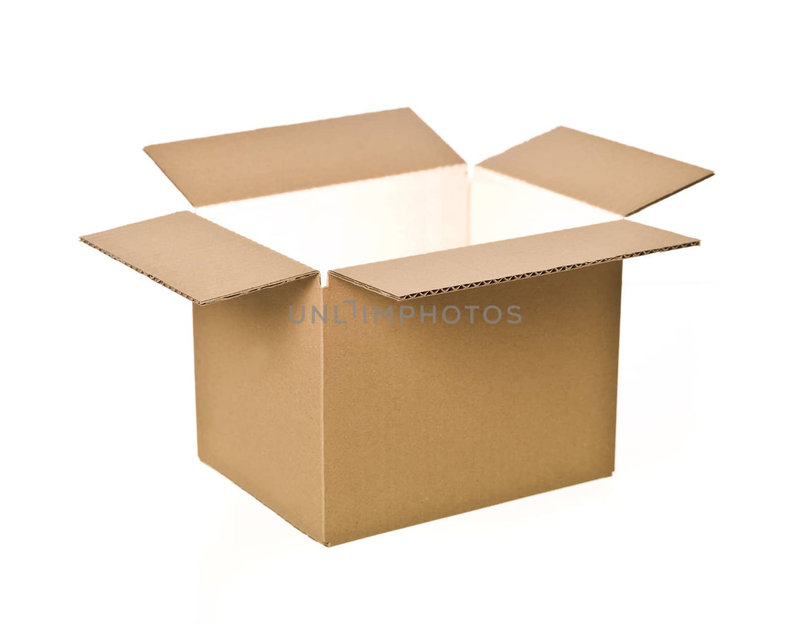 Open Cardboard Box isolated on white background