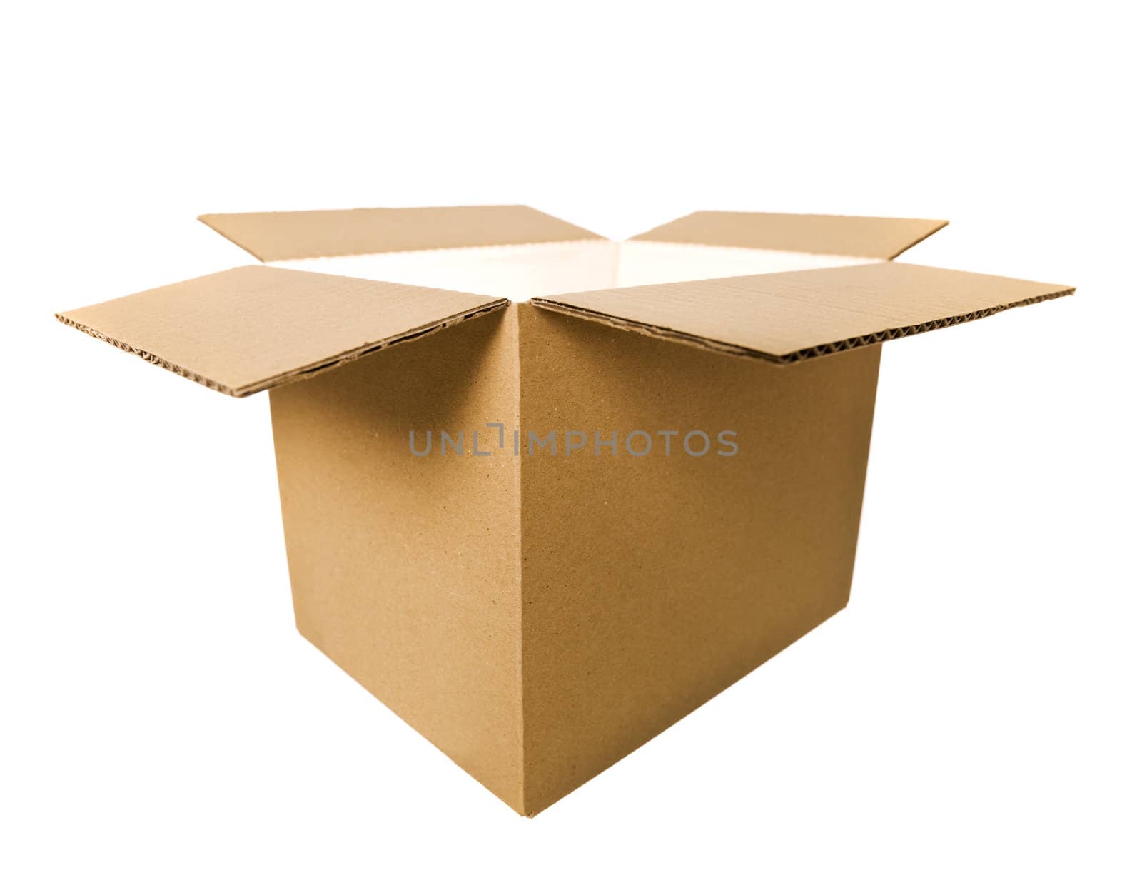 Open Cardboard Box isolated on white background