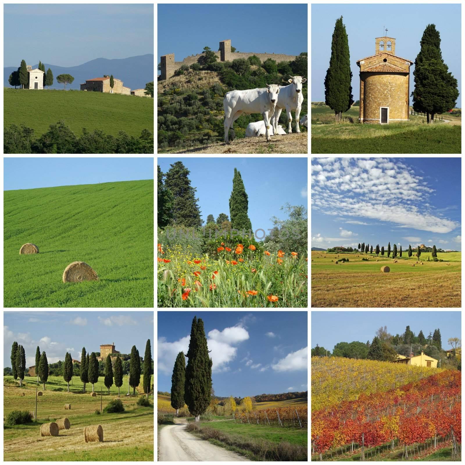 tuscan scenery collage by mkistryn