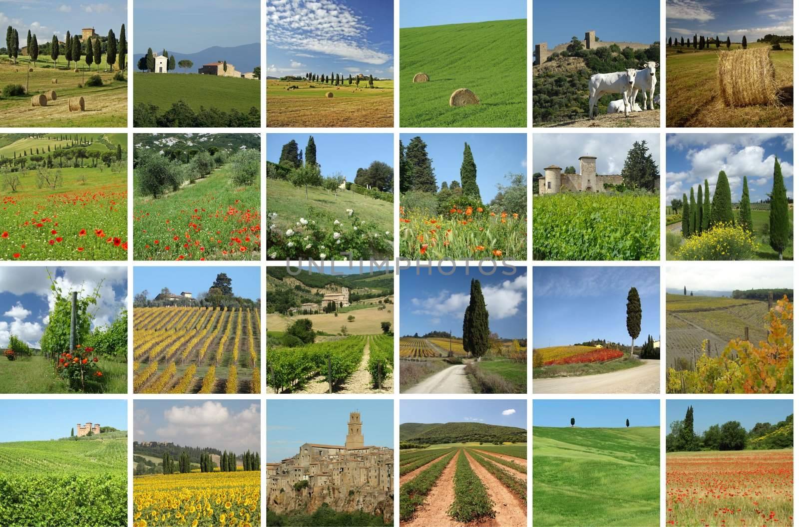 collage with wonderful Tuscan scenery
