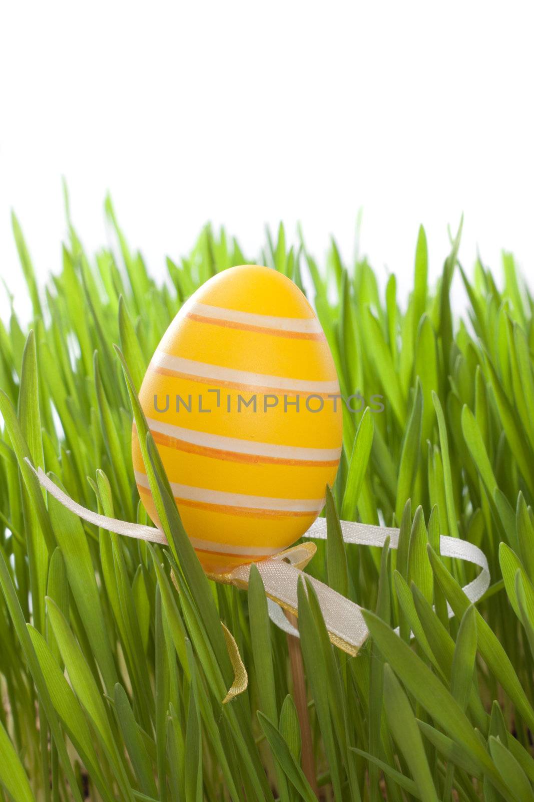 Colorful Easter egg on a white background 