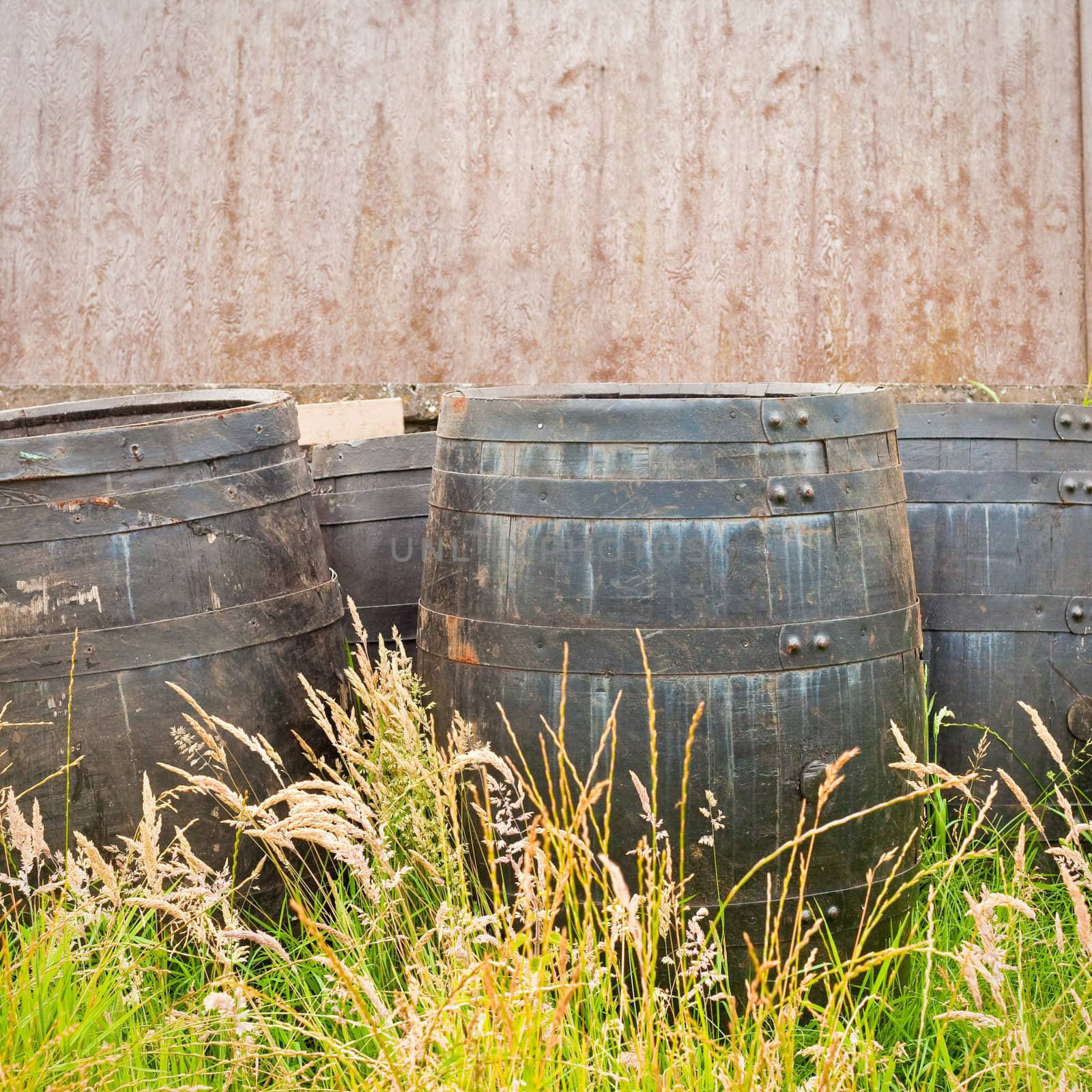 Group of whiskey barrels  against a stone wall