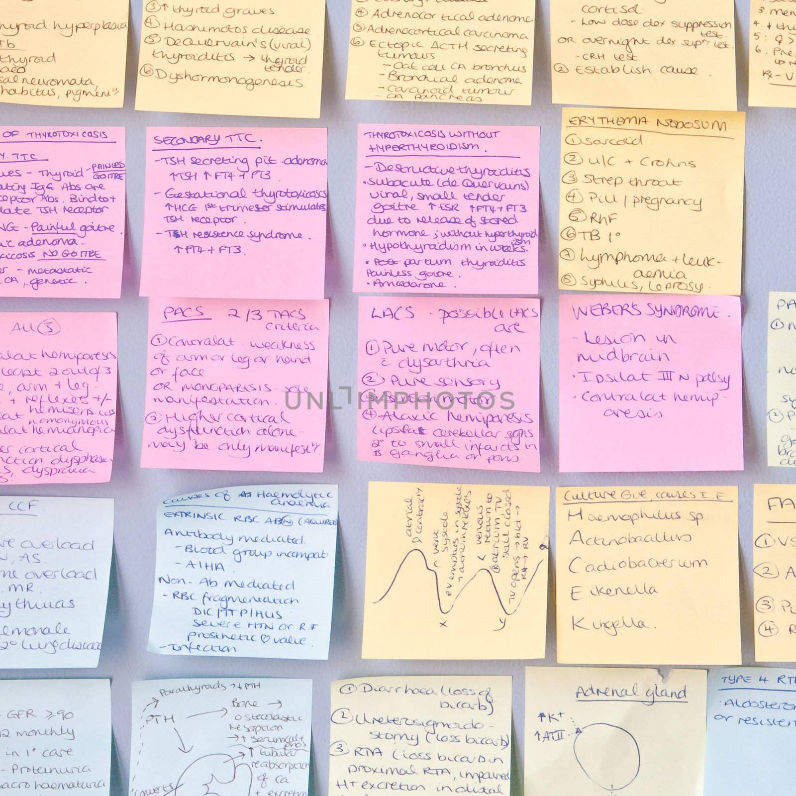 Medical student revision notes stuck on a wall