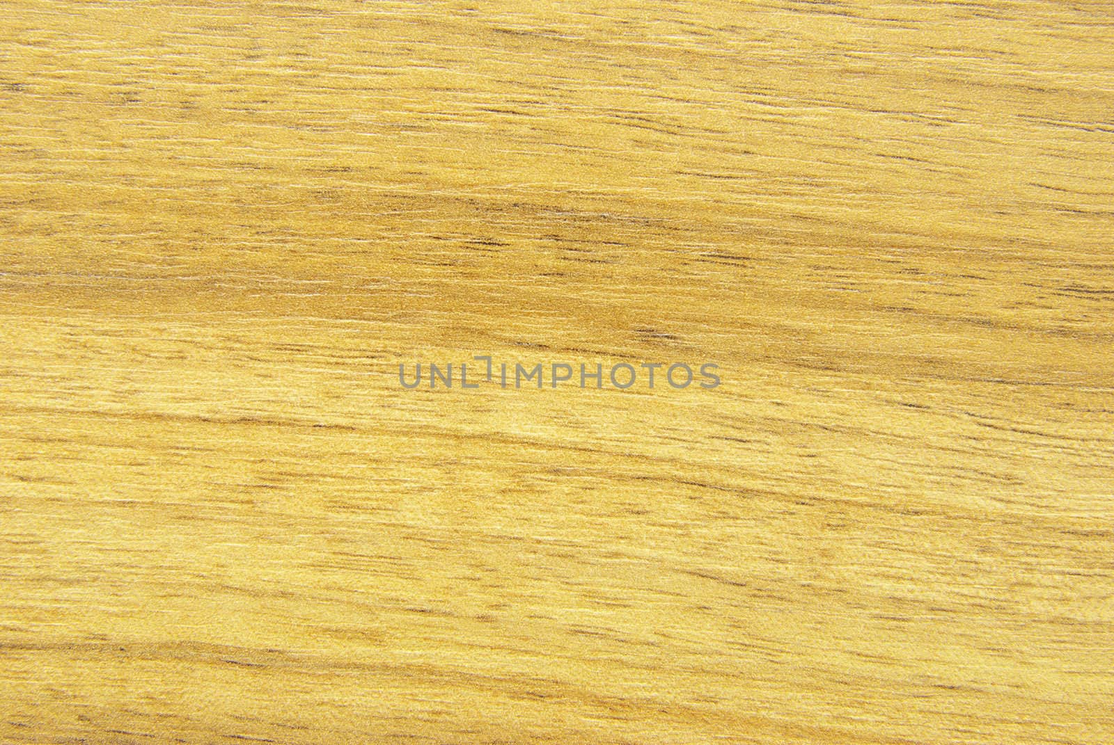 Texture of  wood to serve as background
