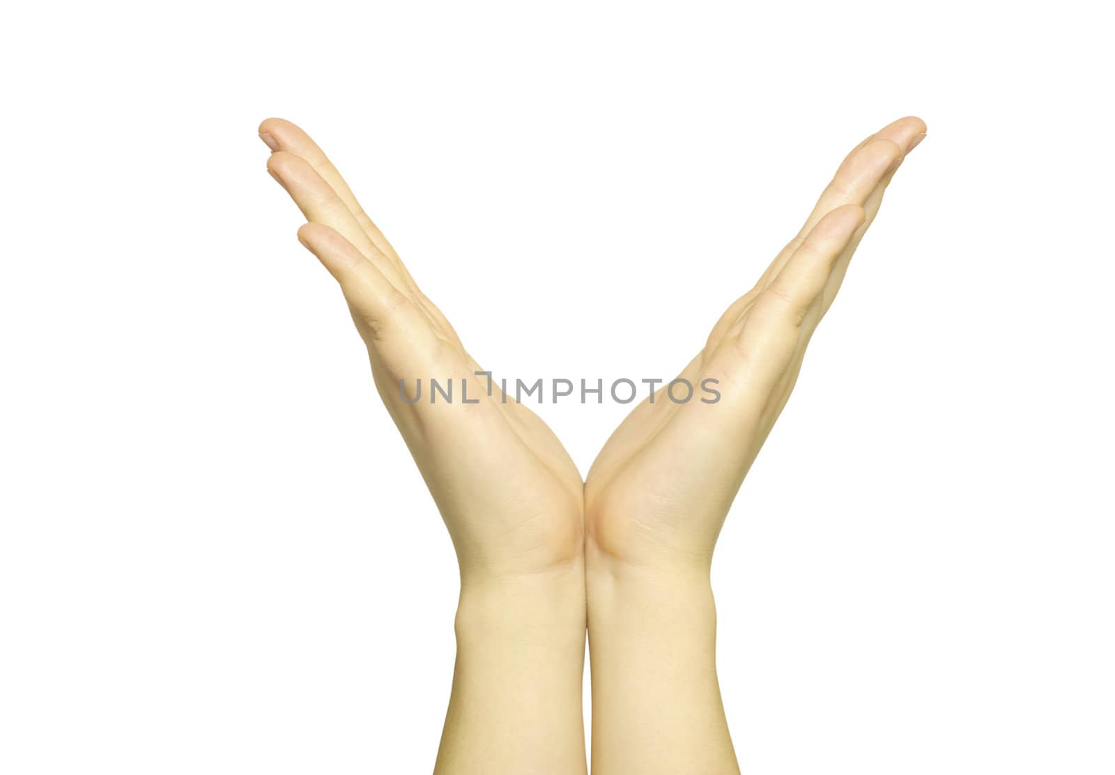 hands isolated on a white background