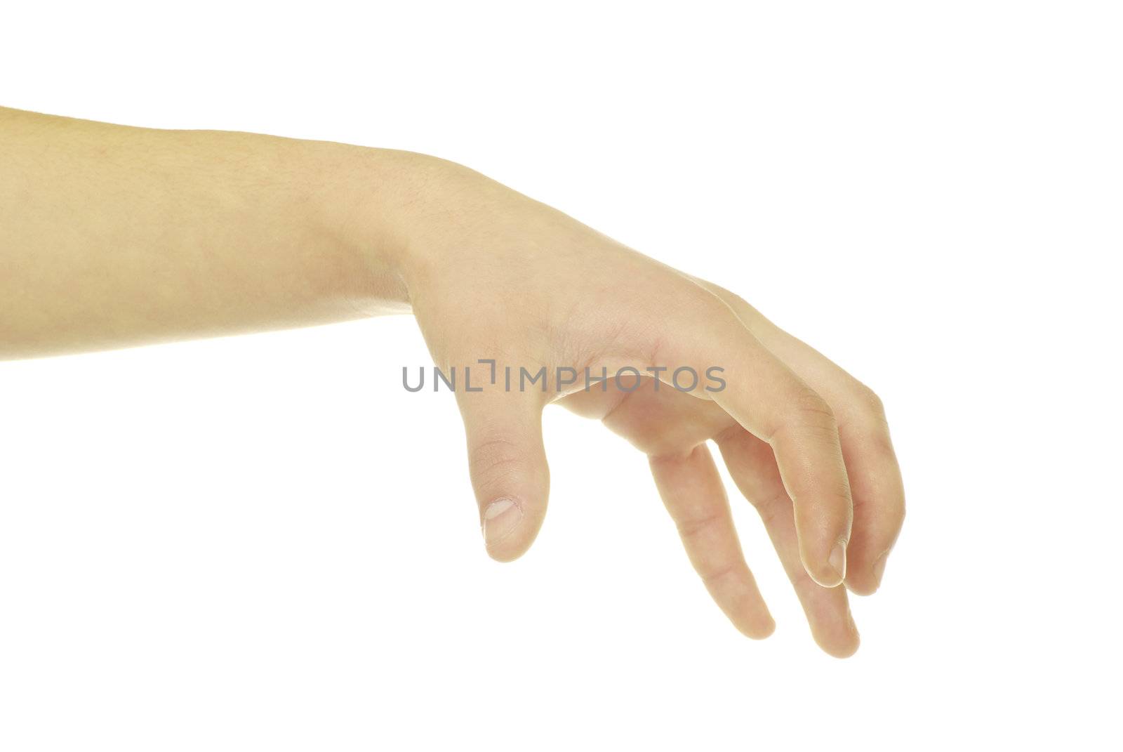 hand isolated on a white background